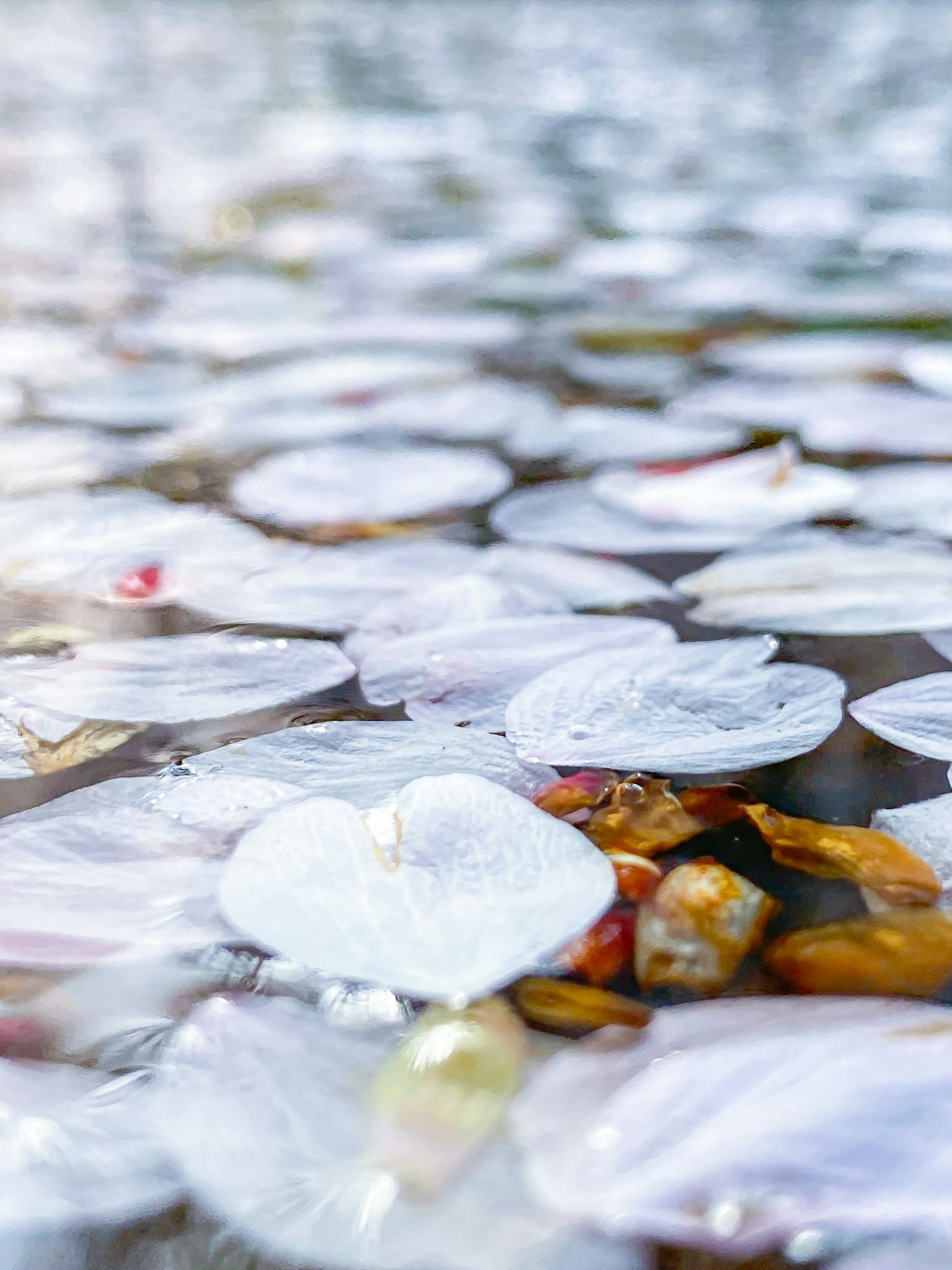 2024-05-fall-into-decay-image-8