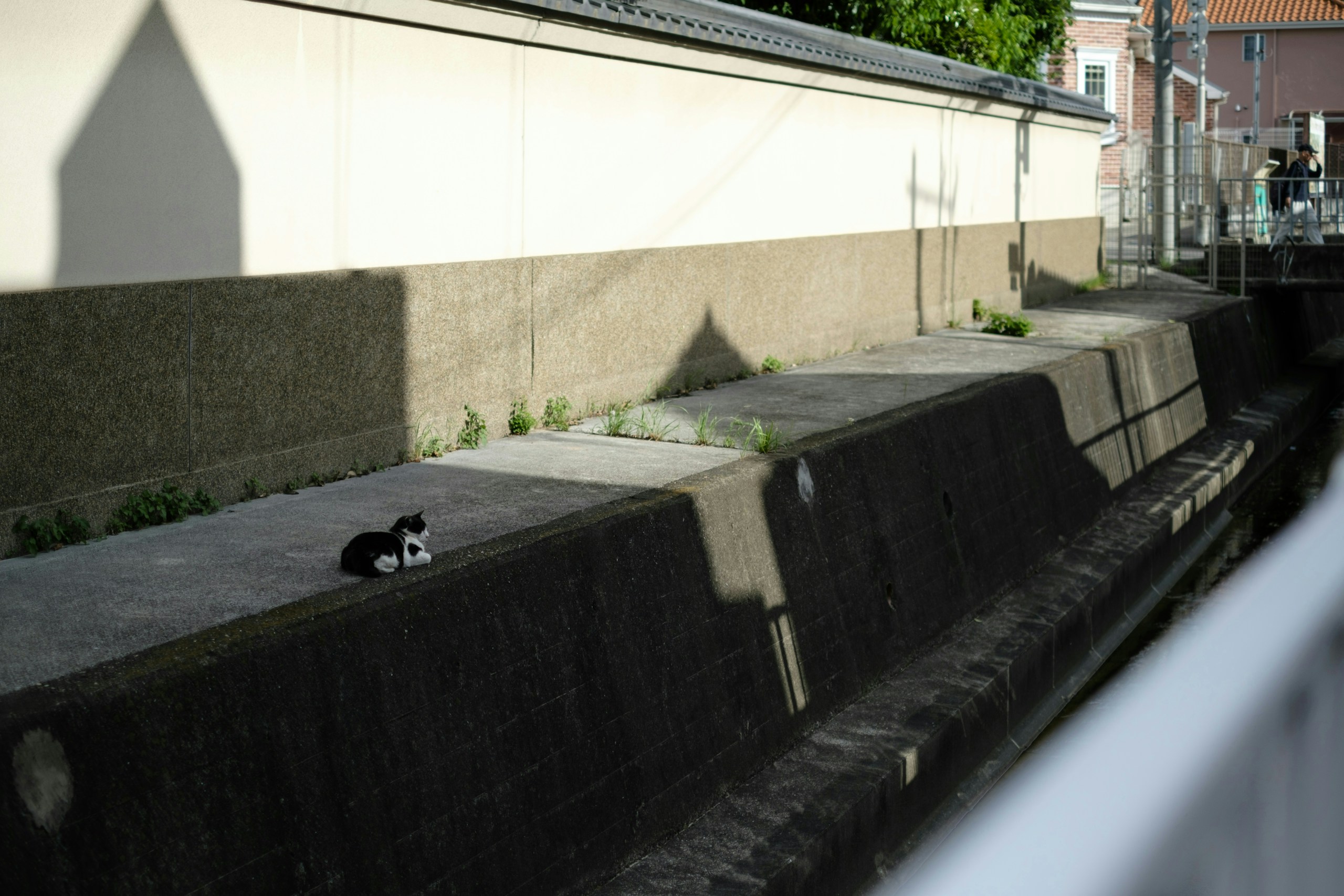 2026-06-full-frame-camera-versatile-image-8