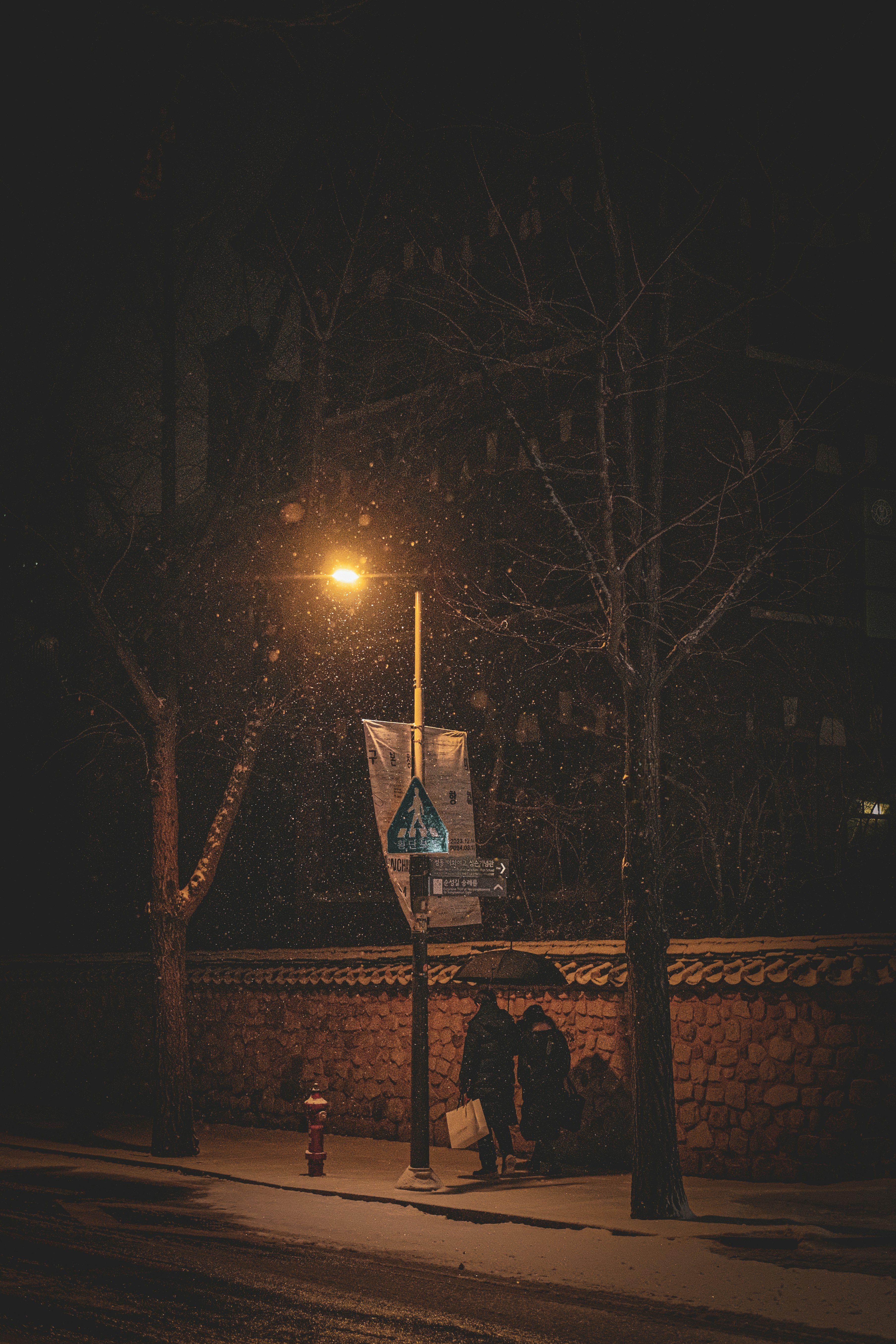 2026-02-ppp-review-by-noeul-film-image-14