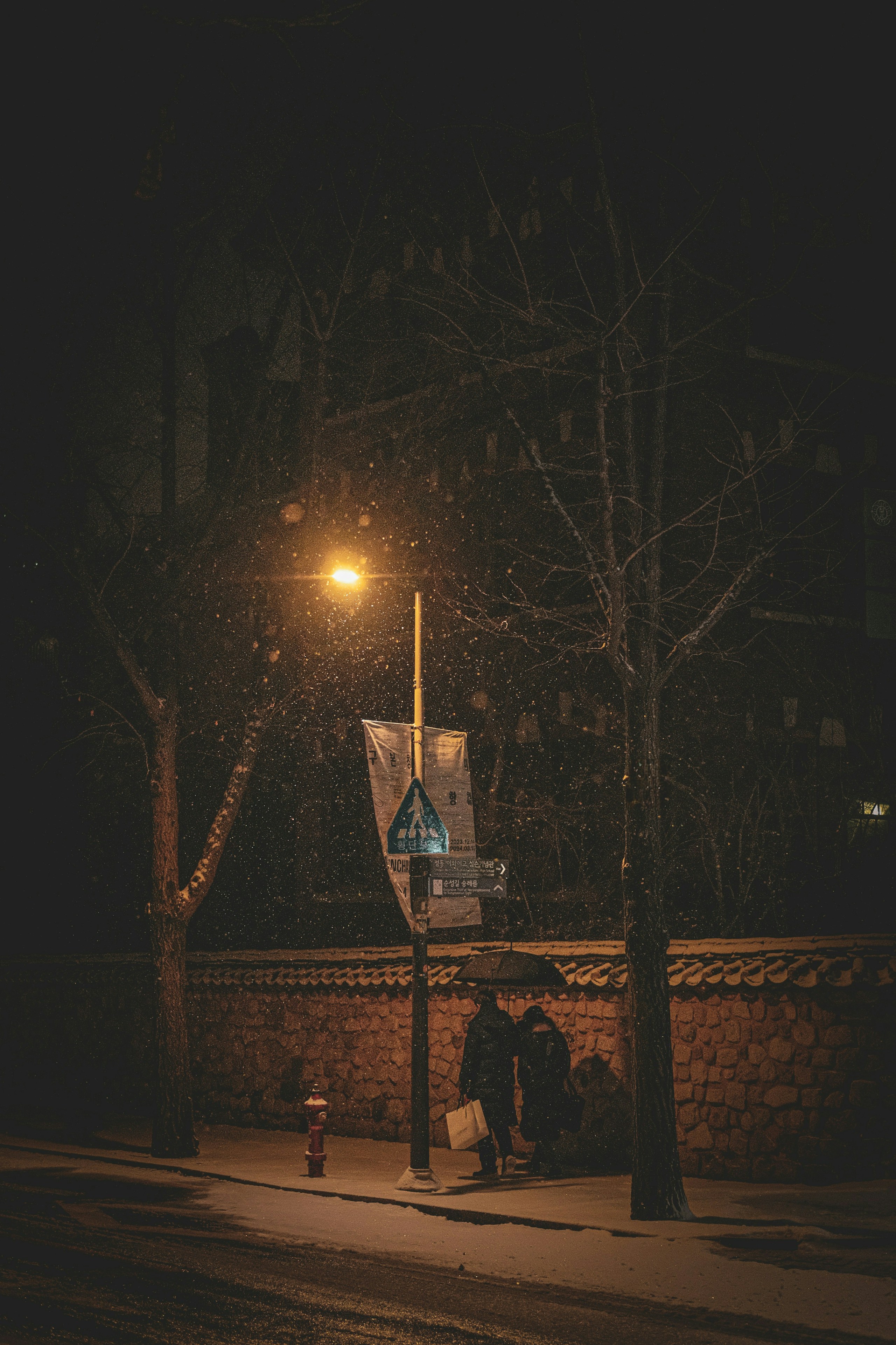 2026-02-ppp-review-by-noeul-film-image-14