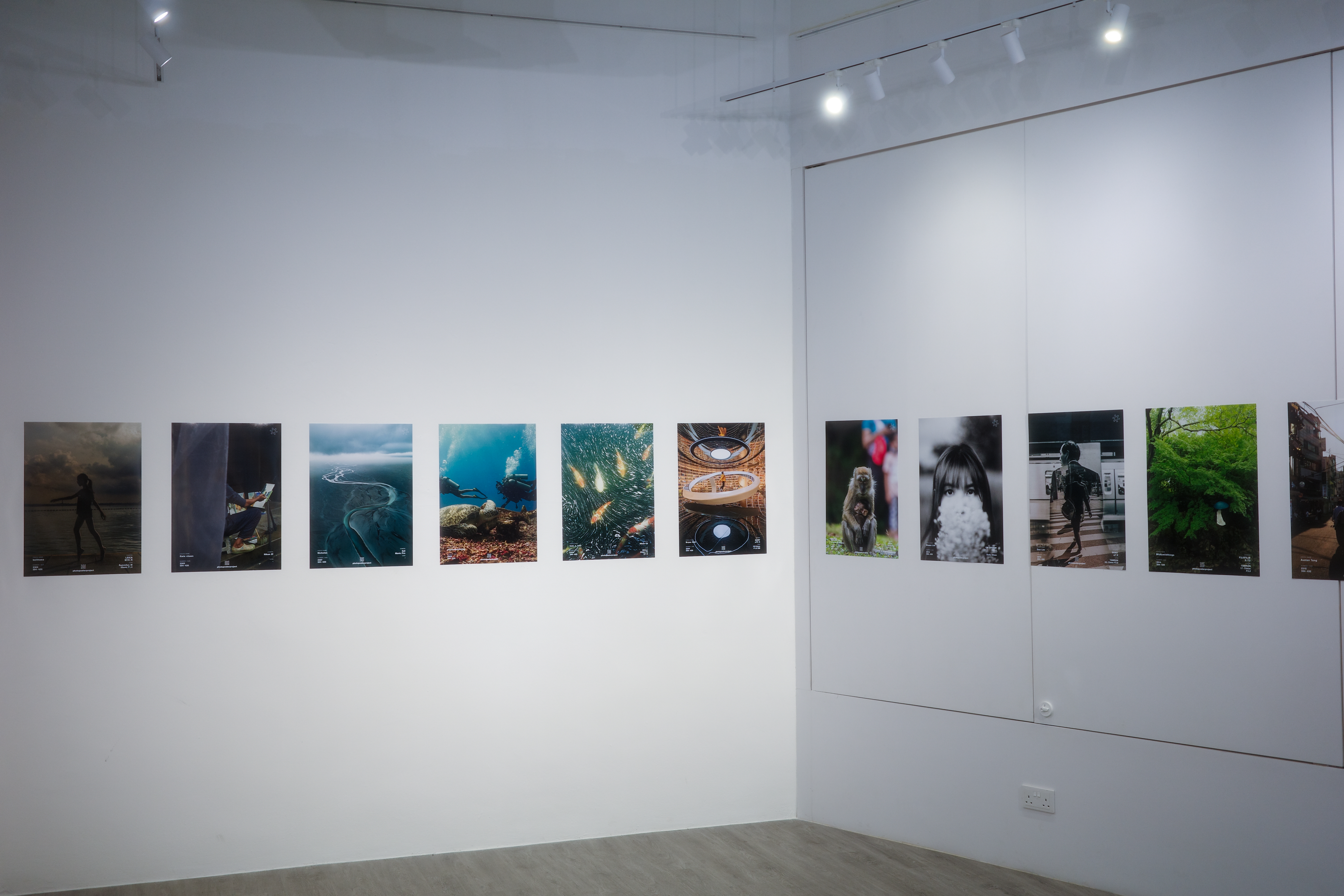 2026-03-ppp-review-by-mildlywildthings-image-10