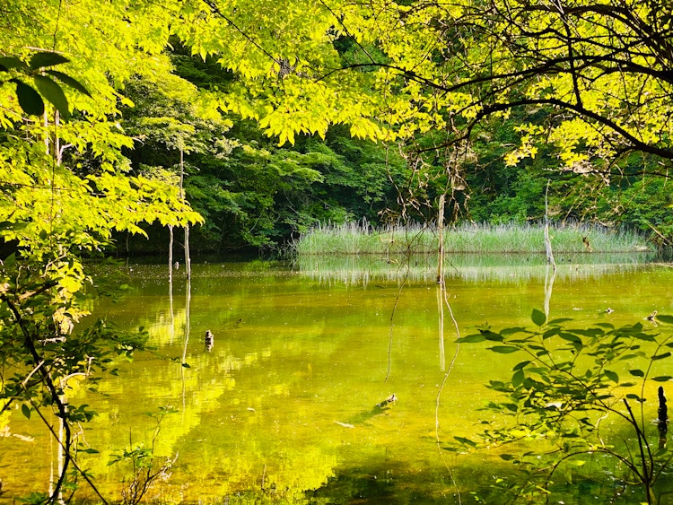 自然の静けさを写真で表現するコツ | Focus #171 | cizucu