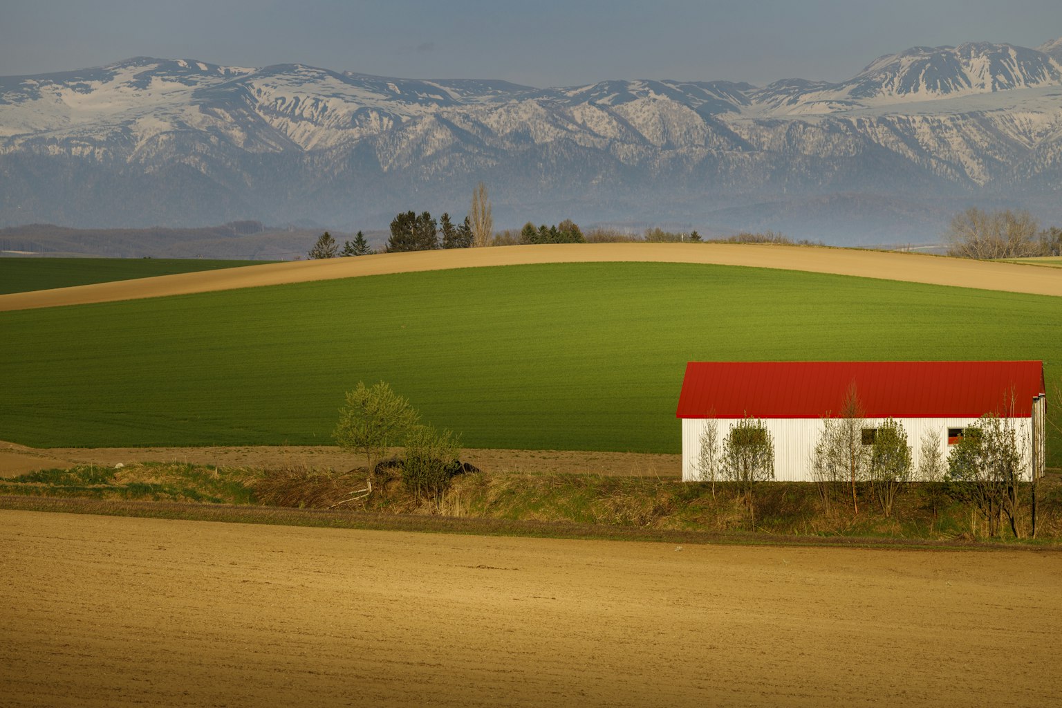 2024-05-letters-from-japan-image-7