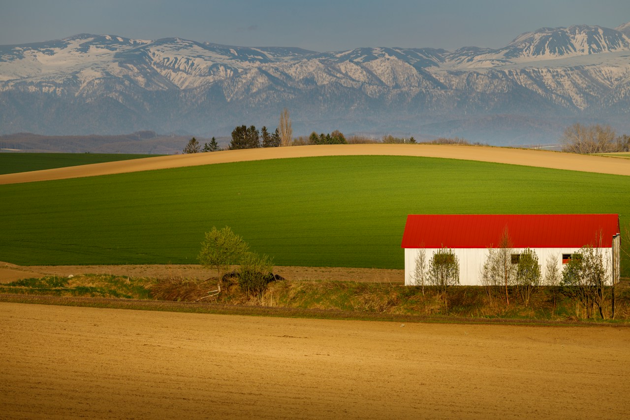 Image by masa