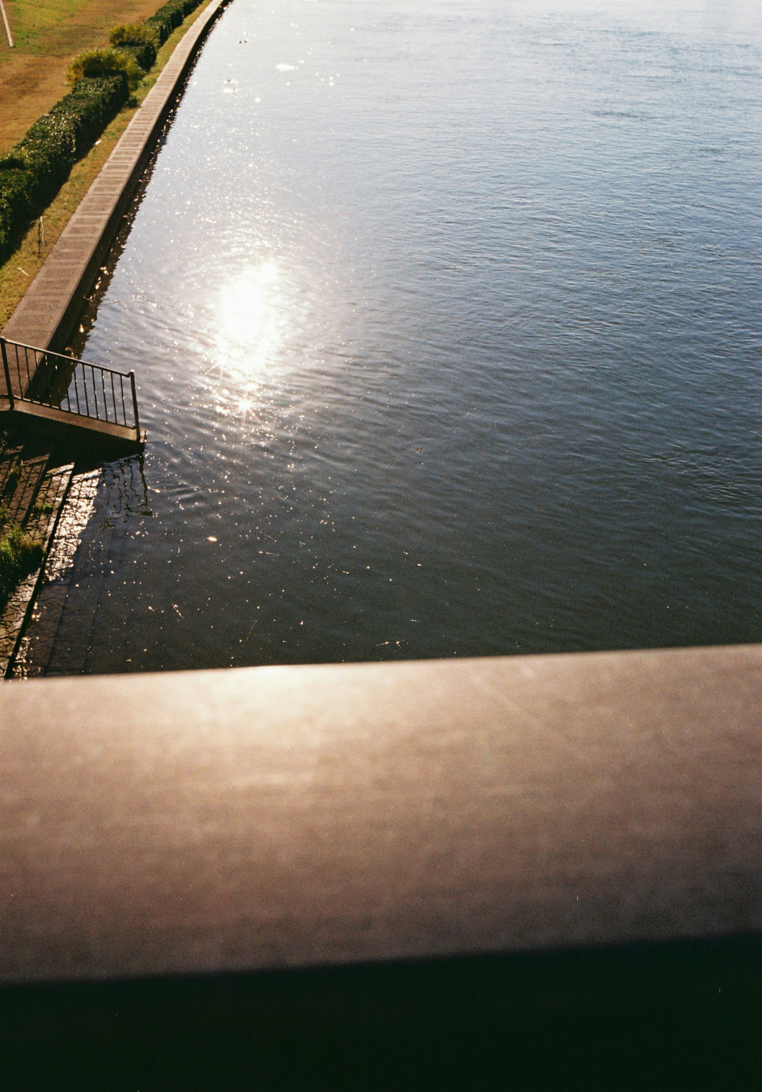 2026-08-understated-film-photography-by-mira-image-20