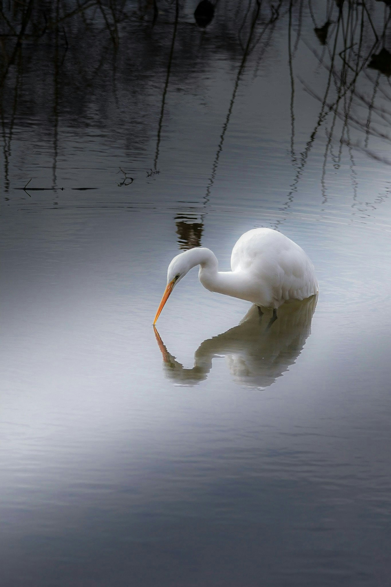 2024-12-100-years-of-future-blooms-award-image-8