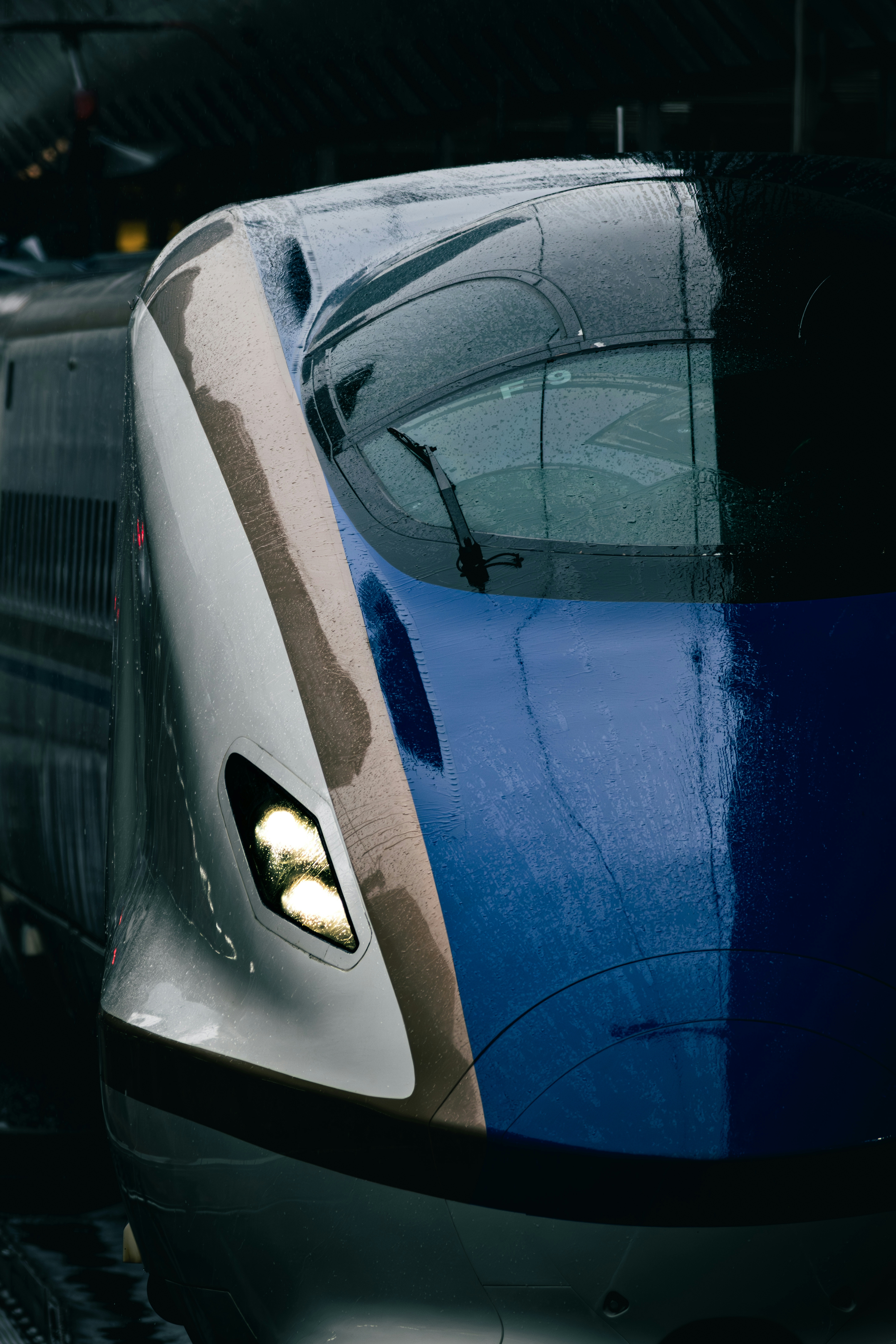 2026-06-rain-image-6