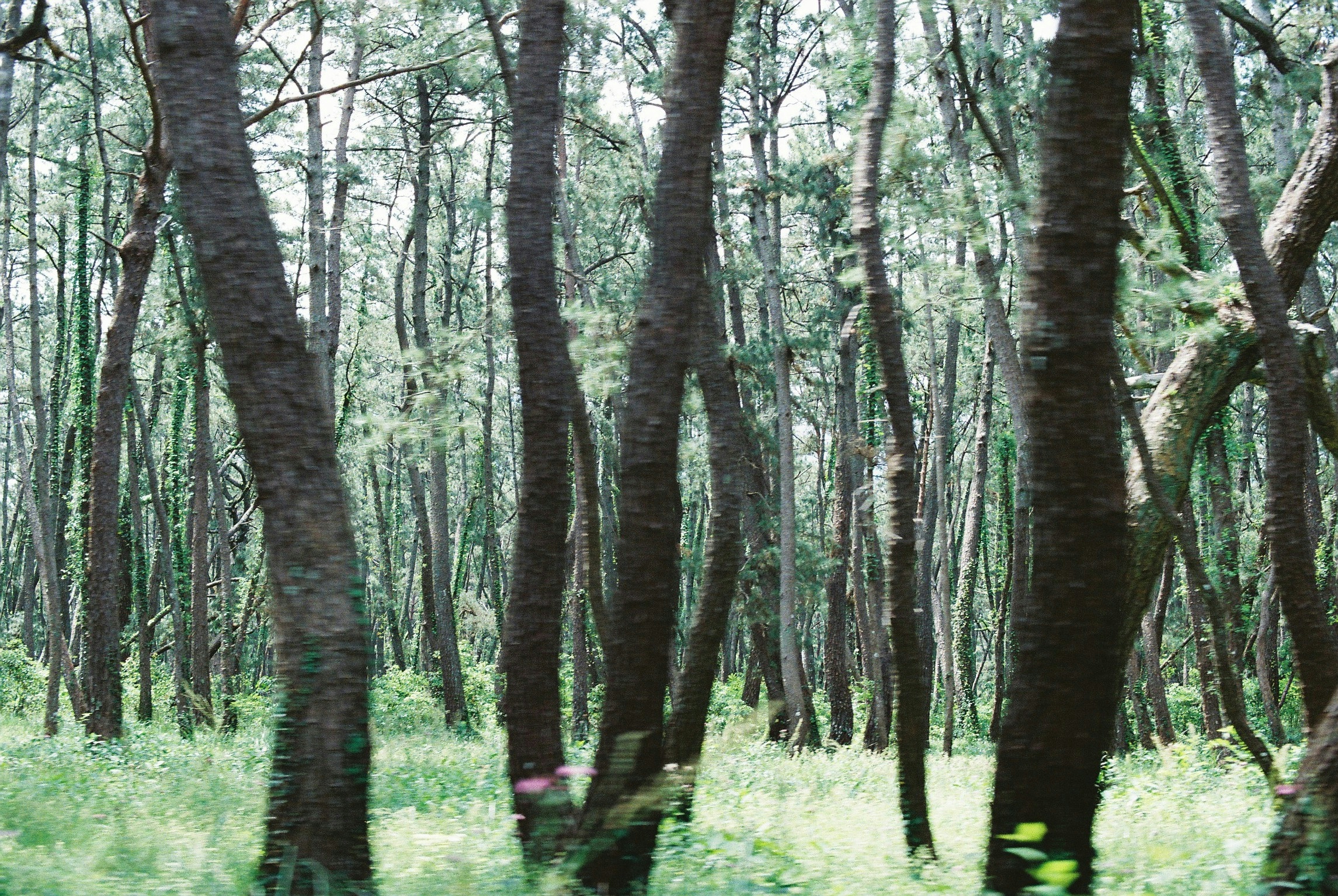 2026-07-find-new-pieces-film-image-18