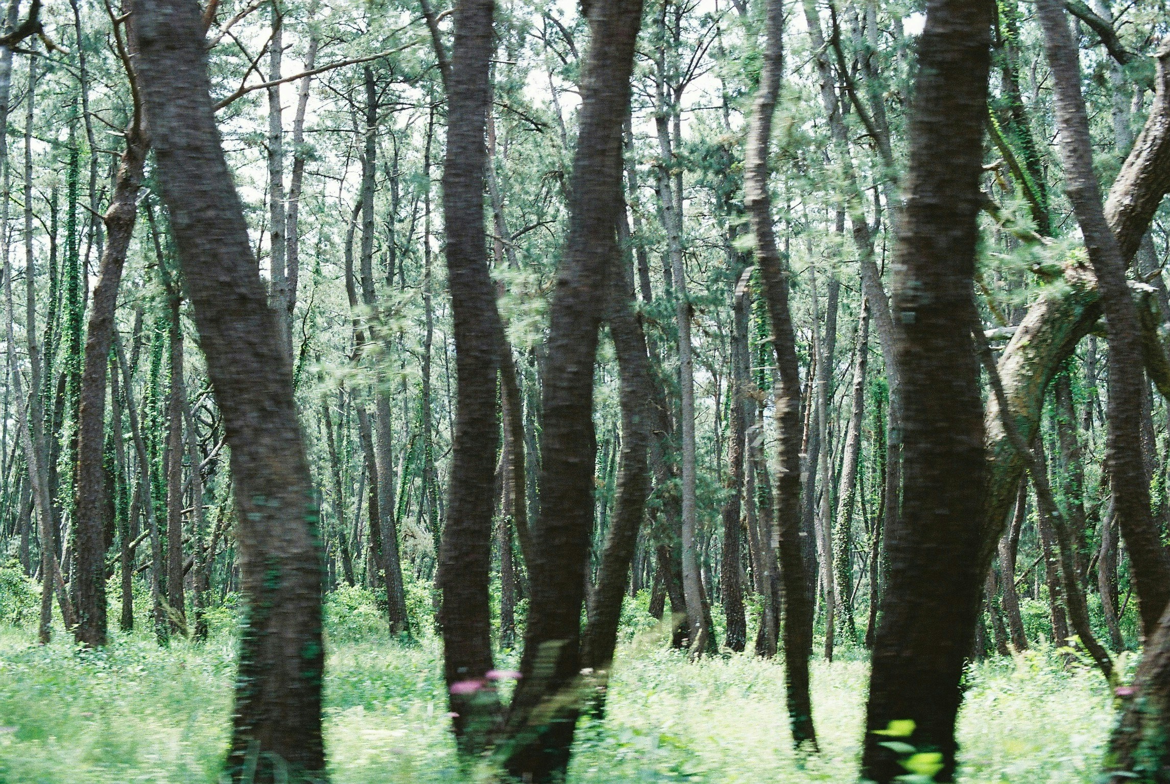 2026-07-find-new-pieces-film-image-18