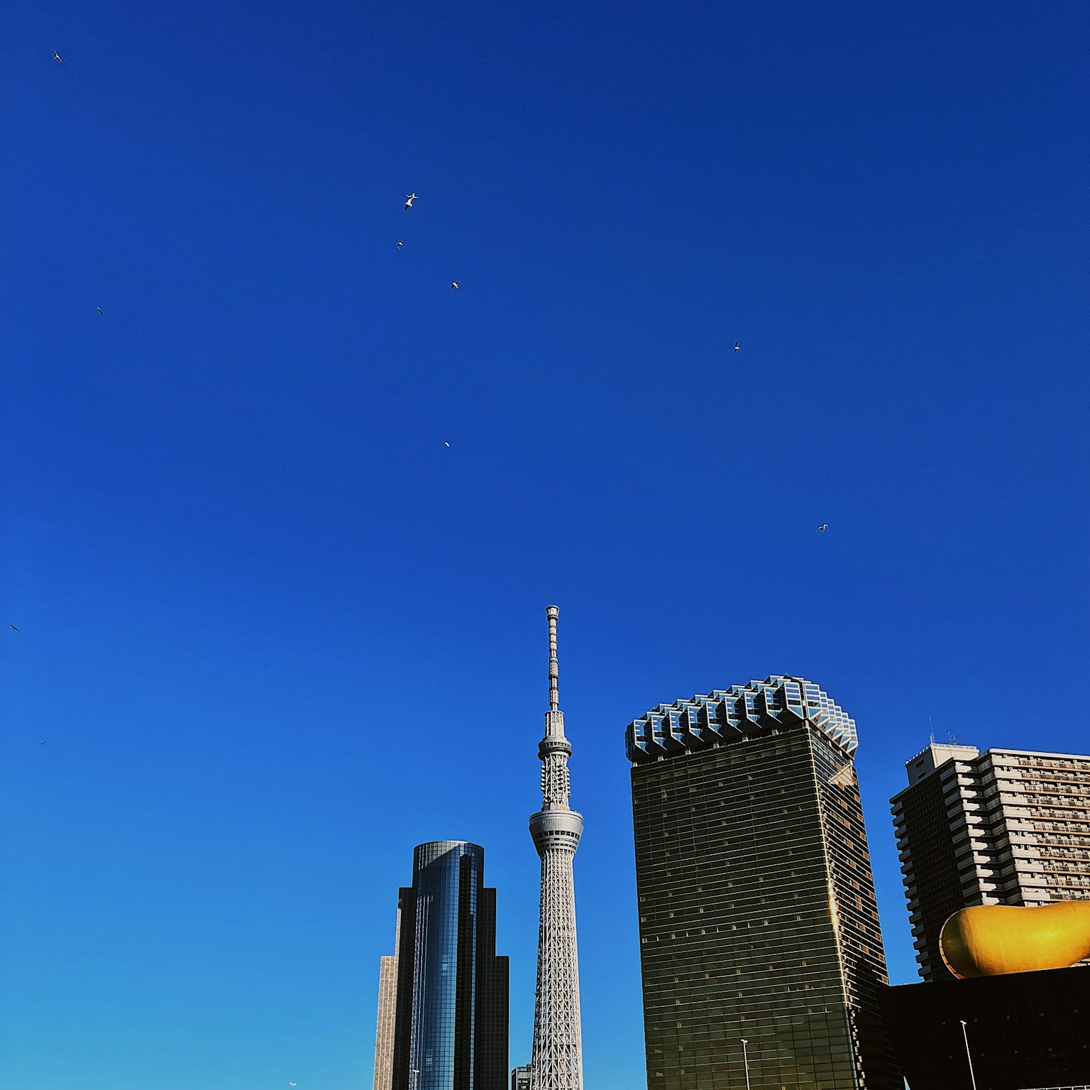 2025-08-square-format-photography-image-13