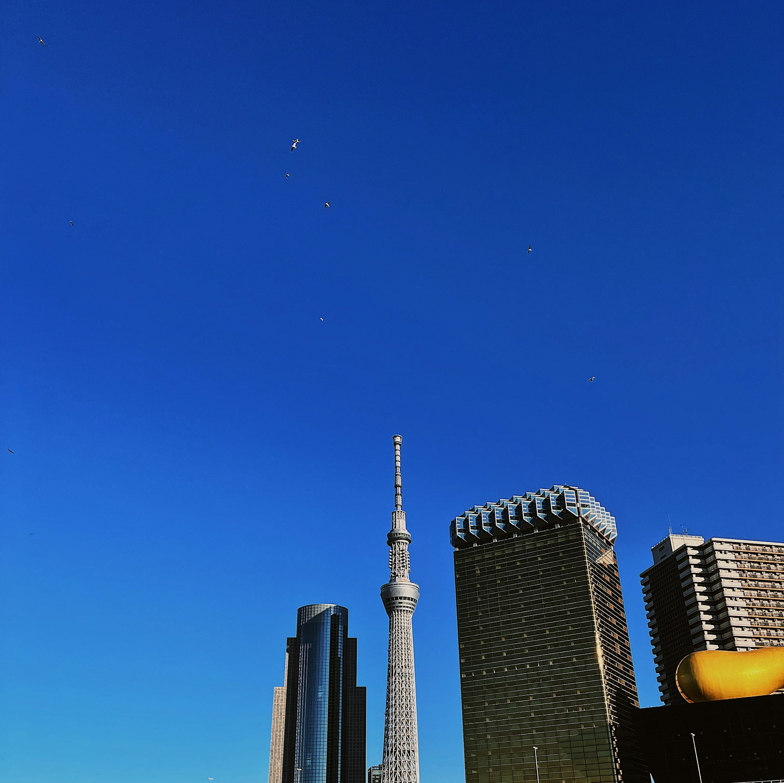 2025-08-square-format-photography-image-13
