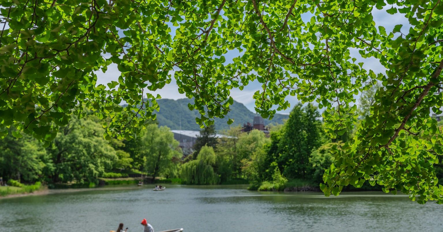 2025-04-photo-poster-project-in-sapporo-may-cover-image