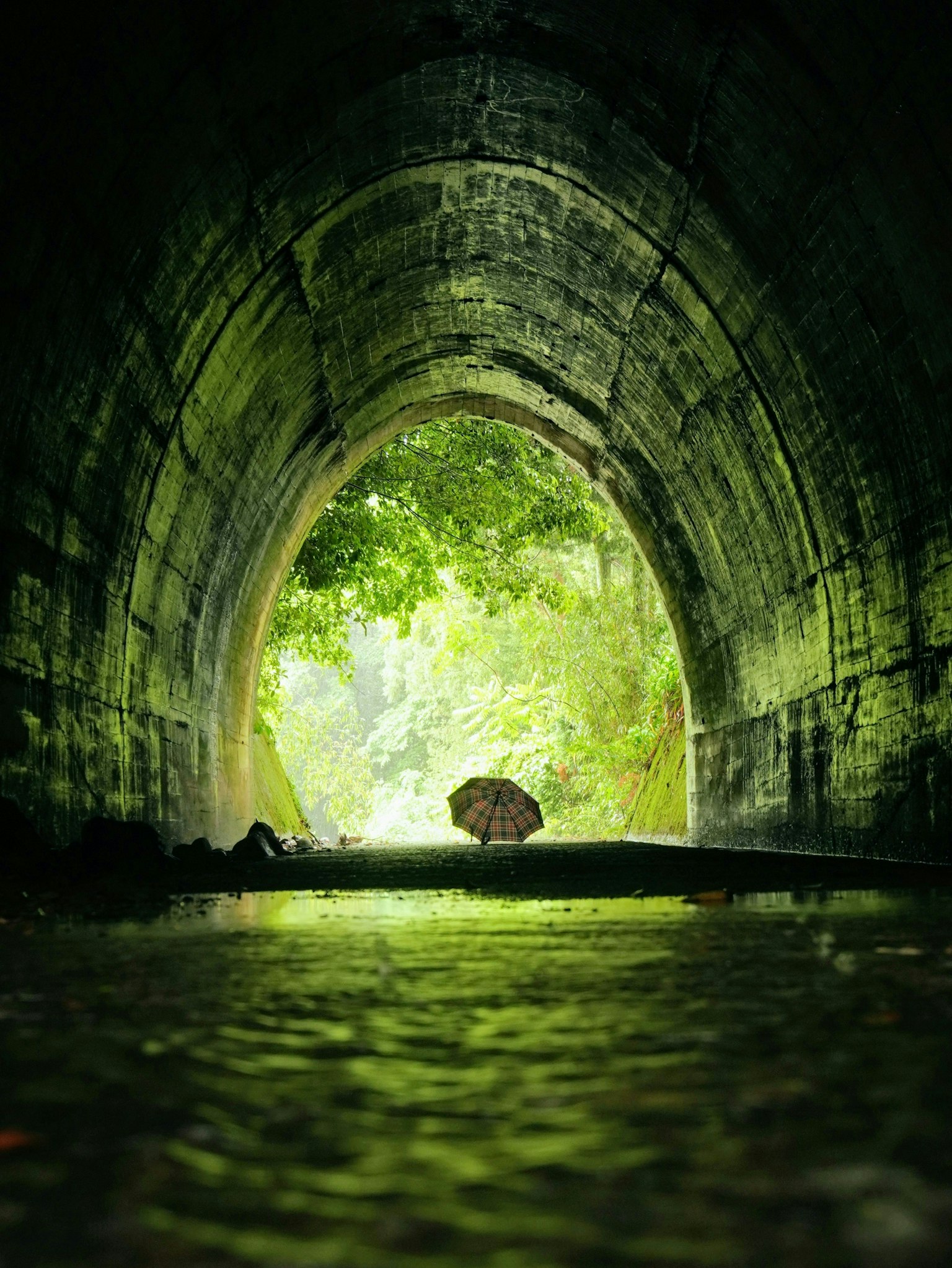 2024-08-fantastic-tunnels-image-26