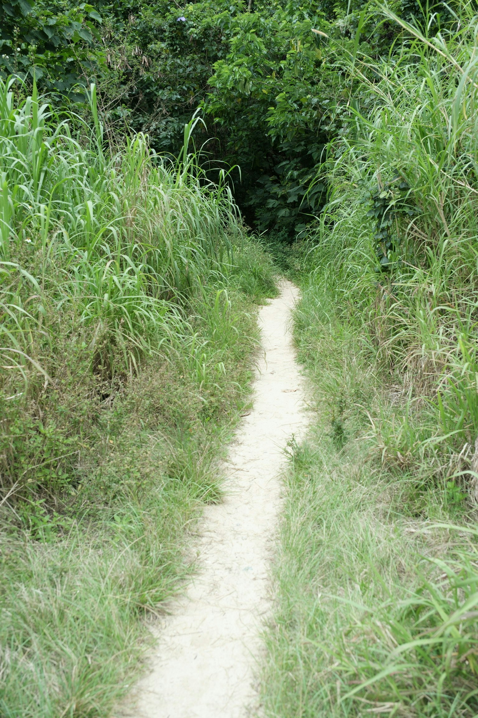 2025-07-line-report-image-5