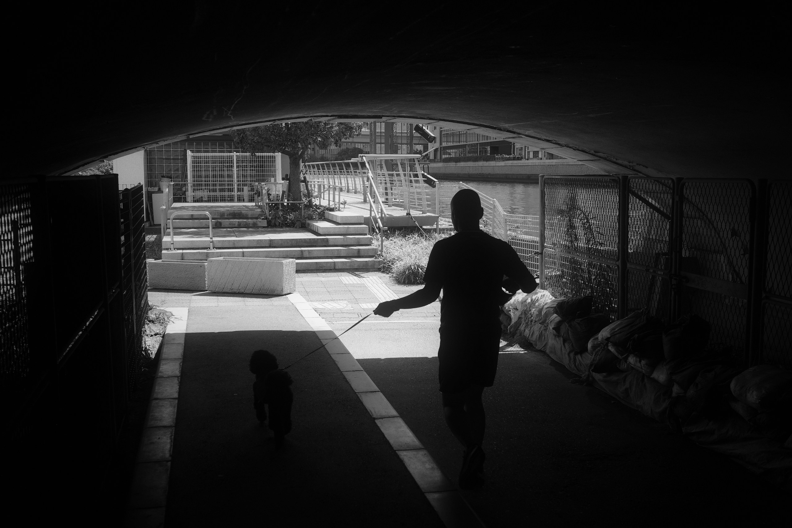 2025-12-silhouette-by-imagination-image-12