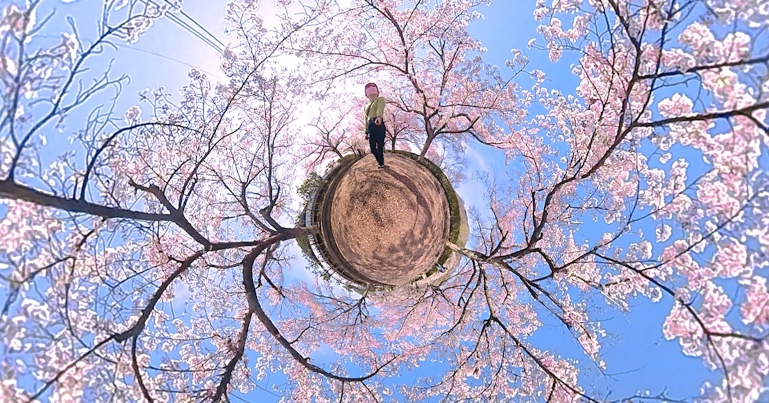 Exploring New Visual Expressions with 360-Degree Cameras | Knowledge #102