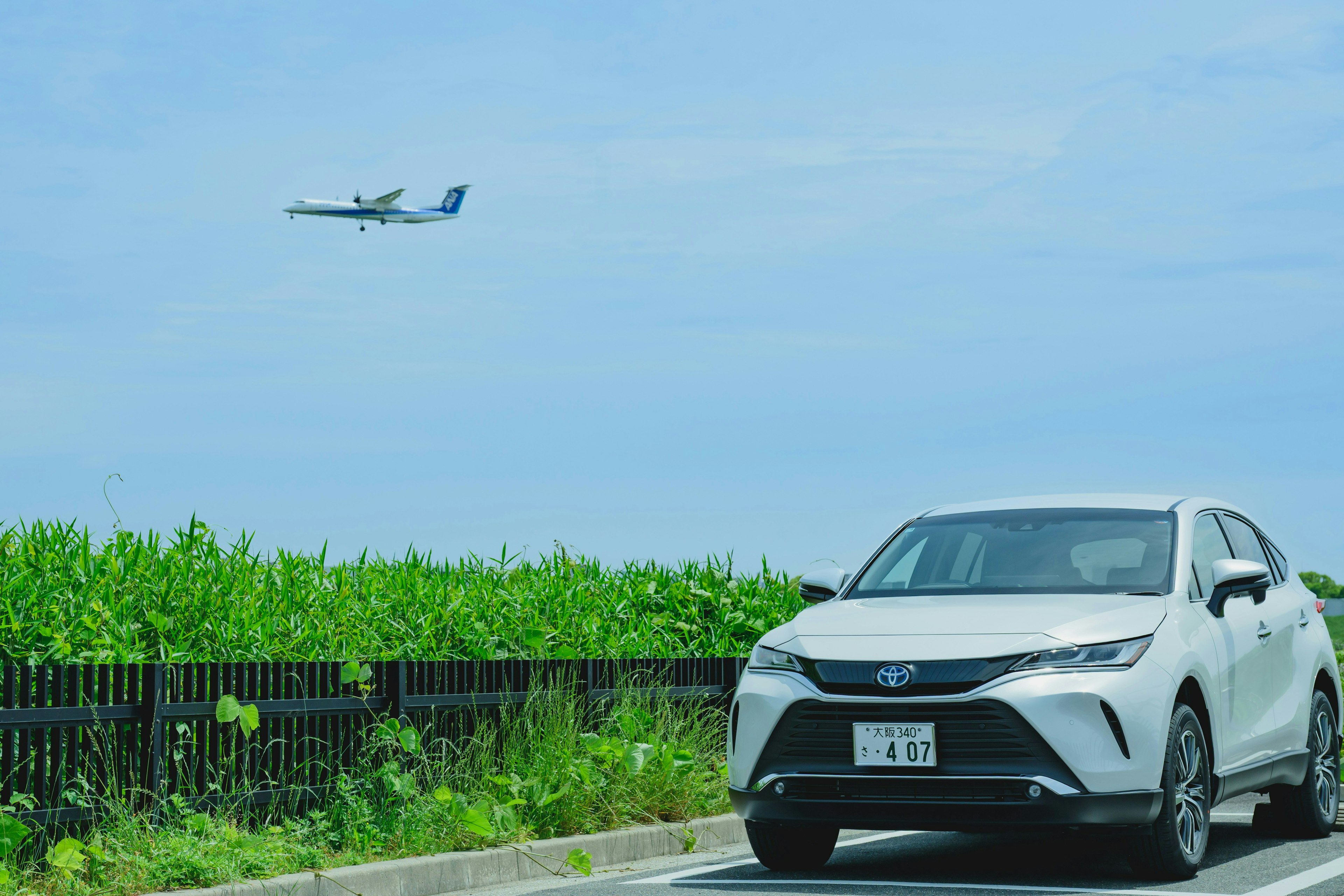 2025-07-masa-captures-car-by-camera-image-8
