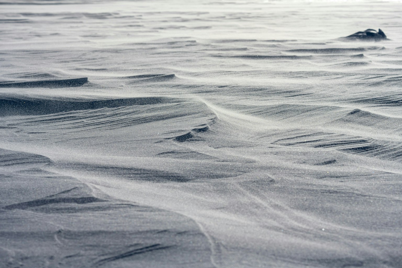 2025-05-nikon-sony-us-price-hike-image-7