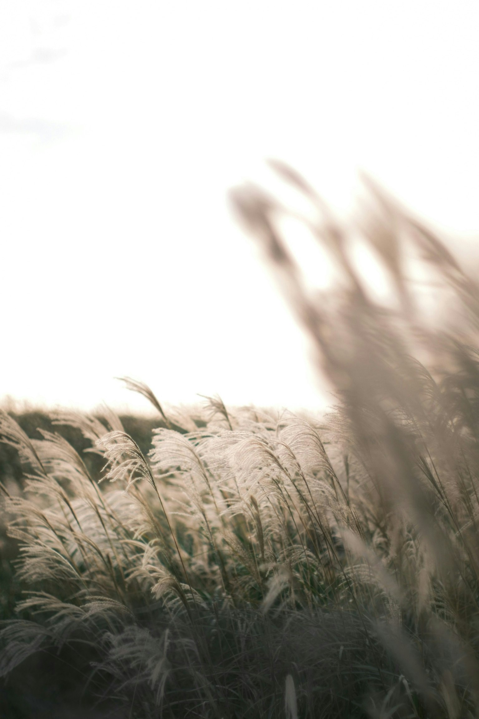 2025-11-pick-up-photos-no-239-243-image-7