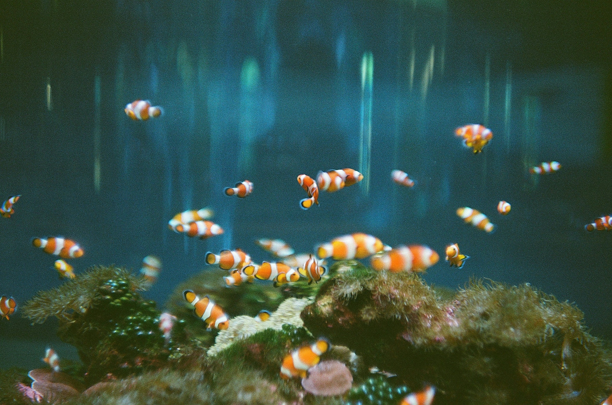 2026-07-found-after-years-image-14