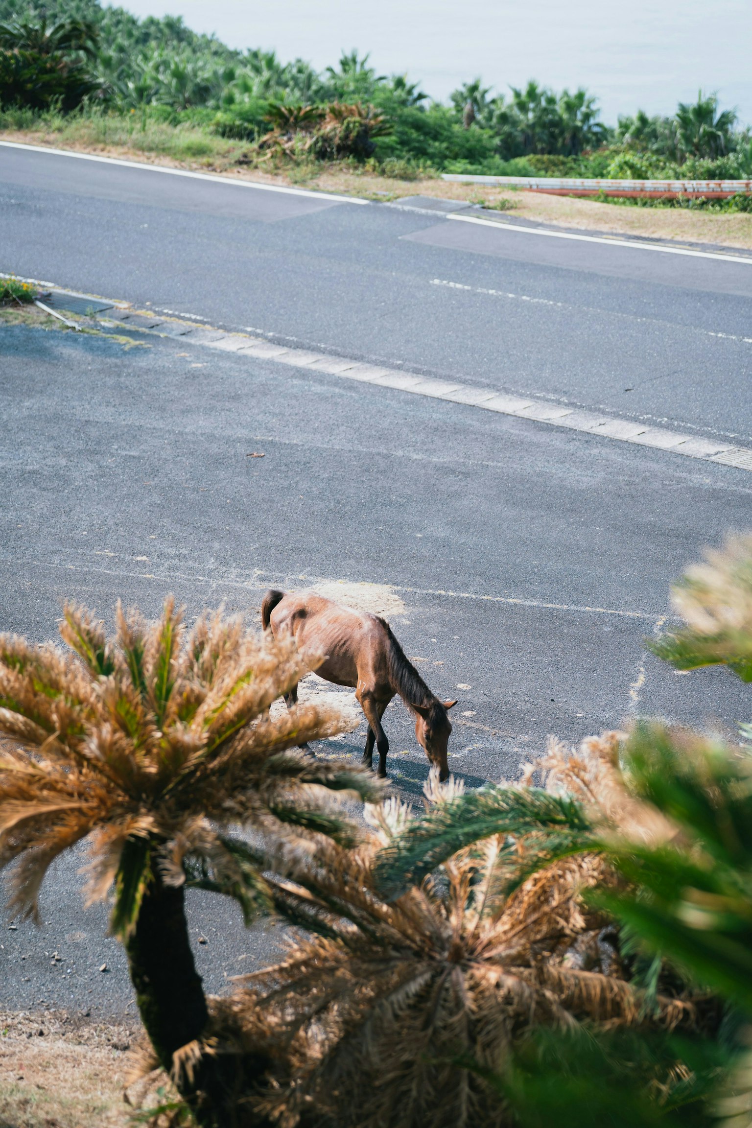 2025-05-pick-up-photos-no-139-143-image-9