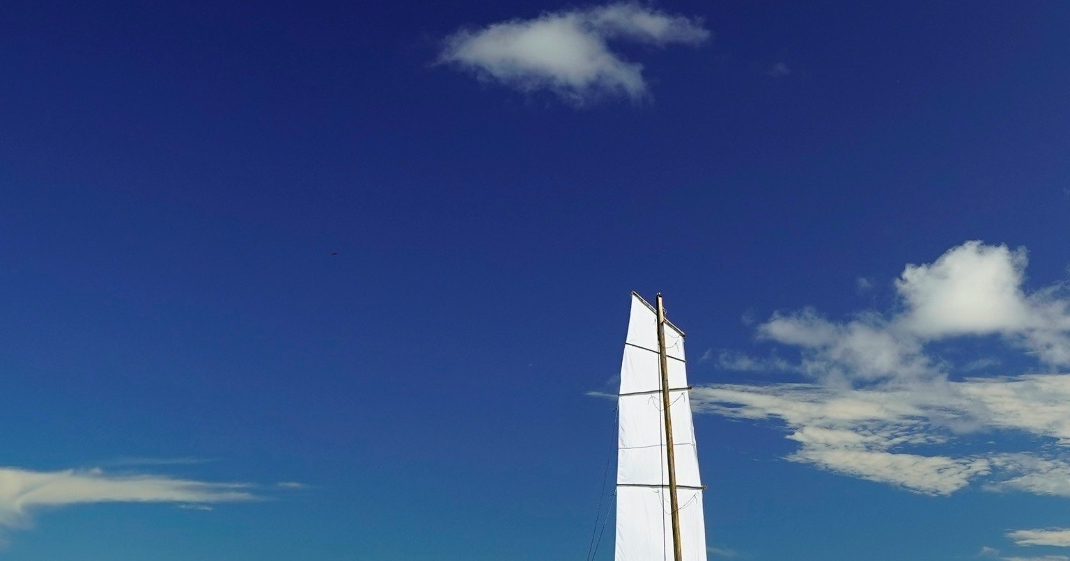 2025-07-in-search-of-panorama-award-cover-image