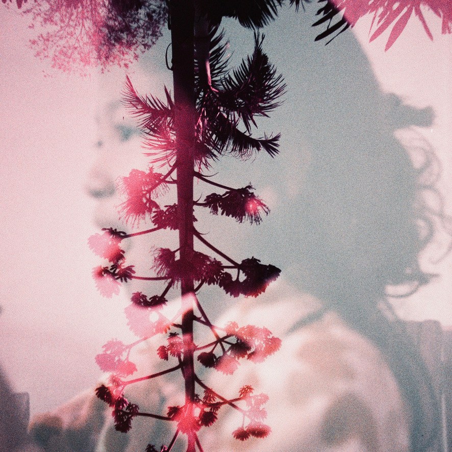 Image by dede dos