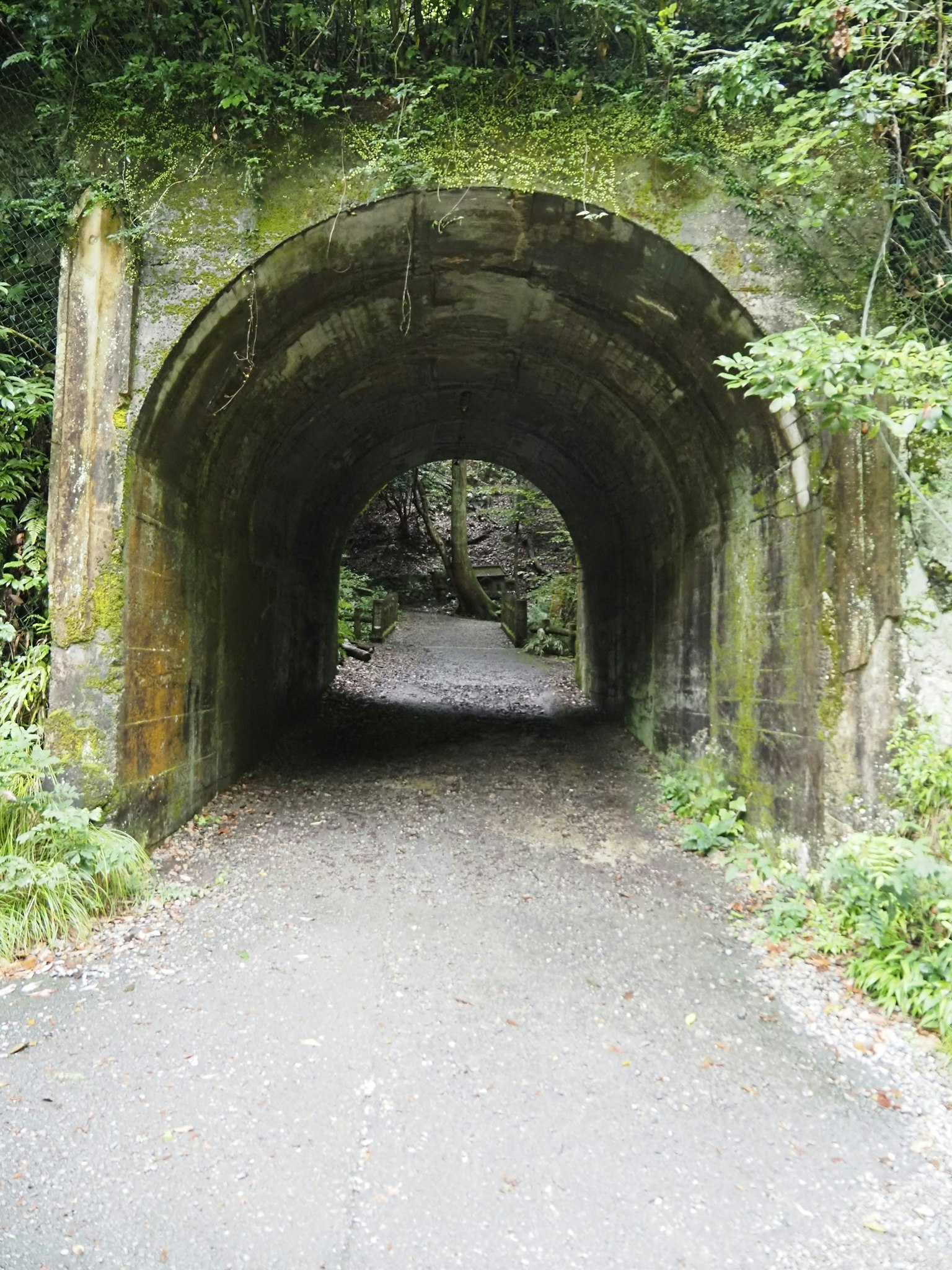 2025-06-depth-image-5