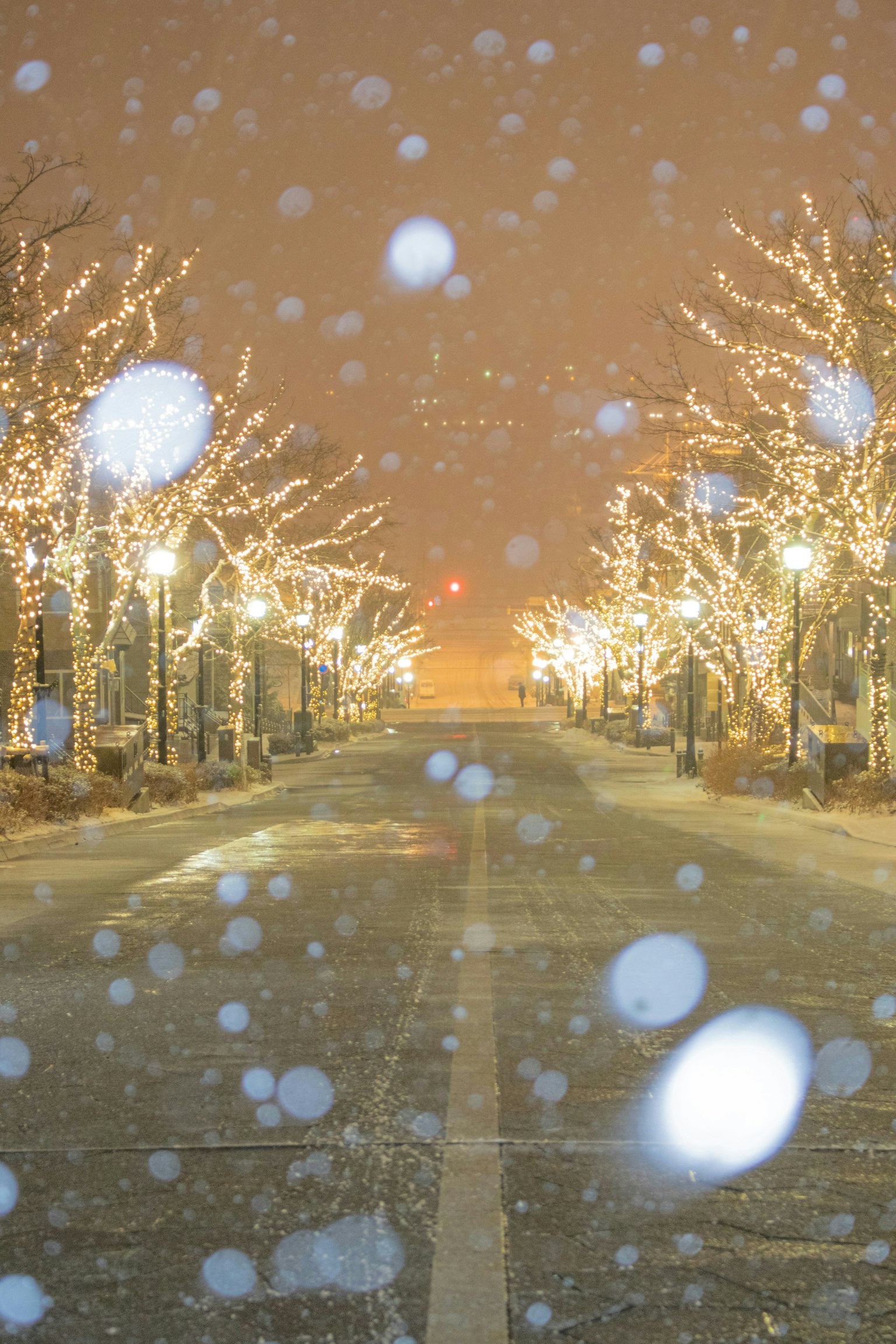 2025-12-enjoy-shooting-illuminations-image-12