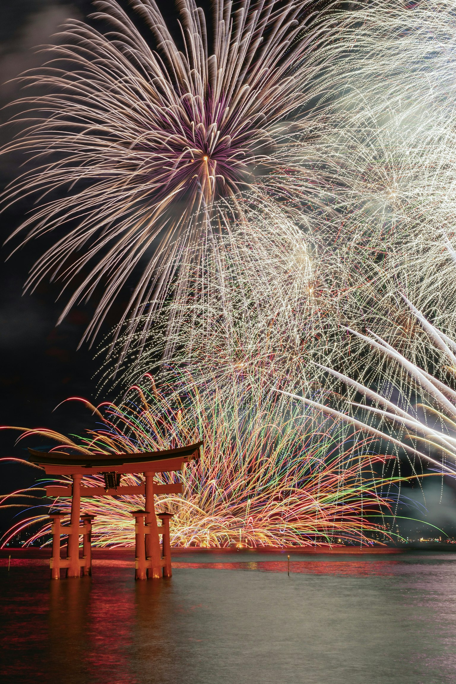 2025-10-pick-up-photos-no-229-233-image-11