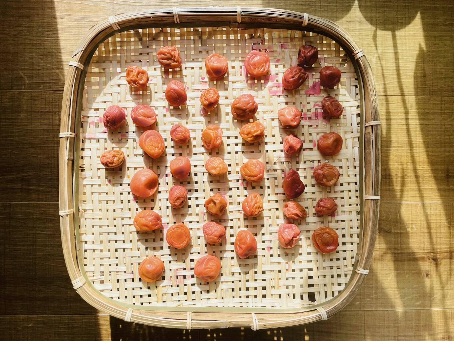 2023-10-inspirations-come-from-rules-image-5