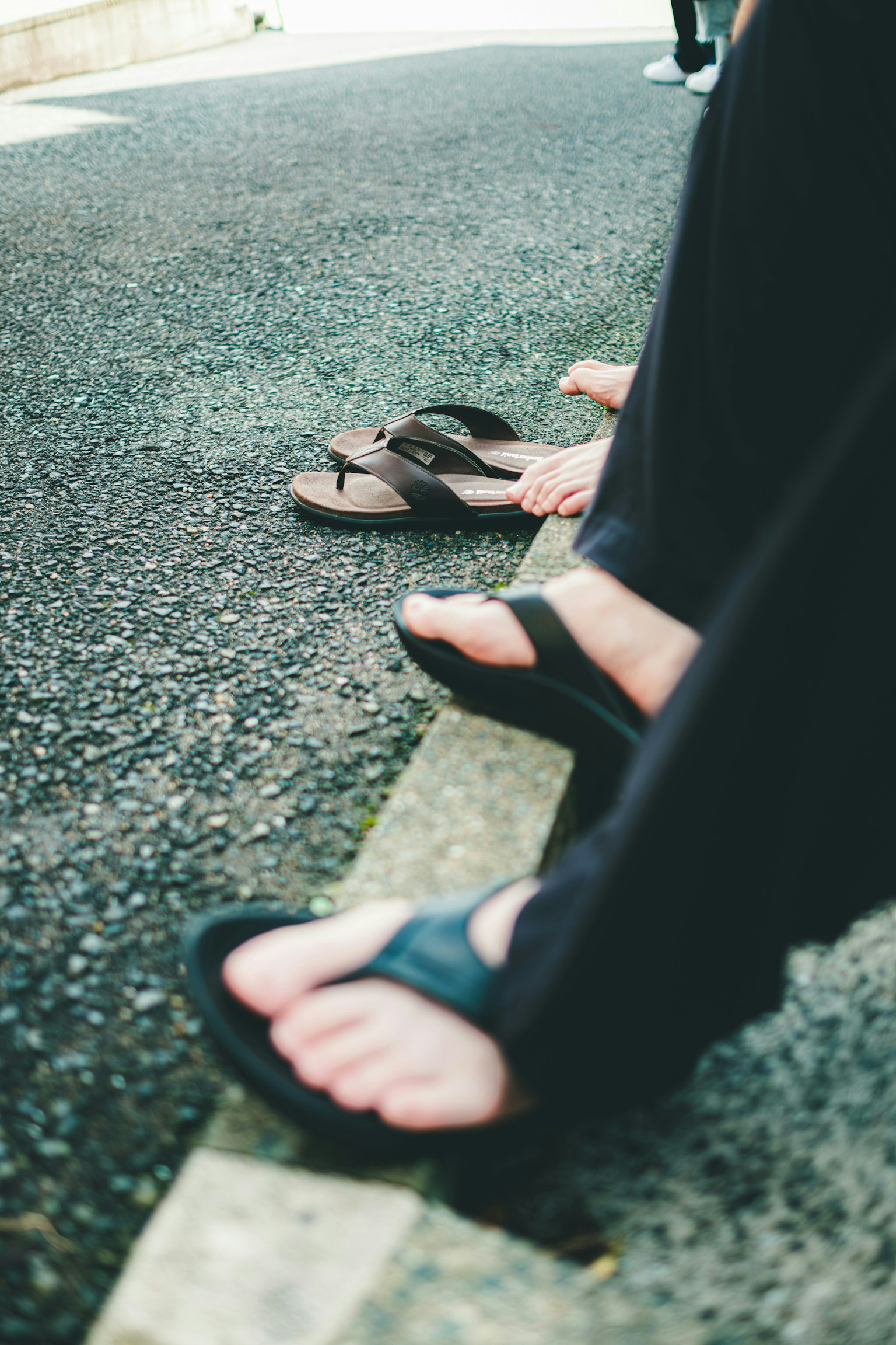 2025-06-summer-image-5