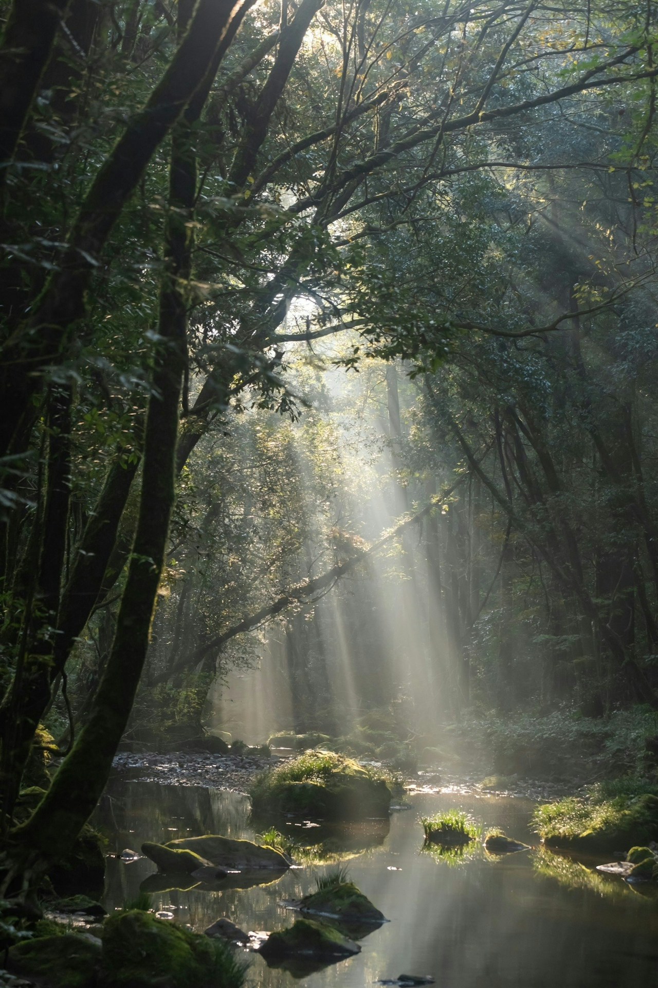 Image by ricky