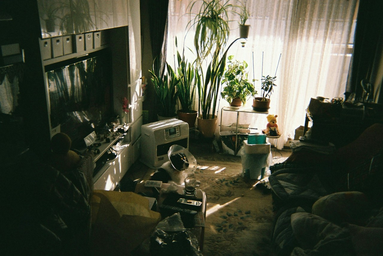 Photo by Tatsuya Fukui