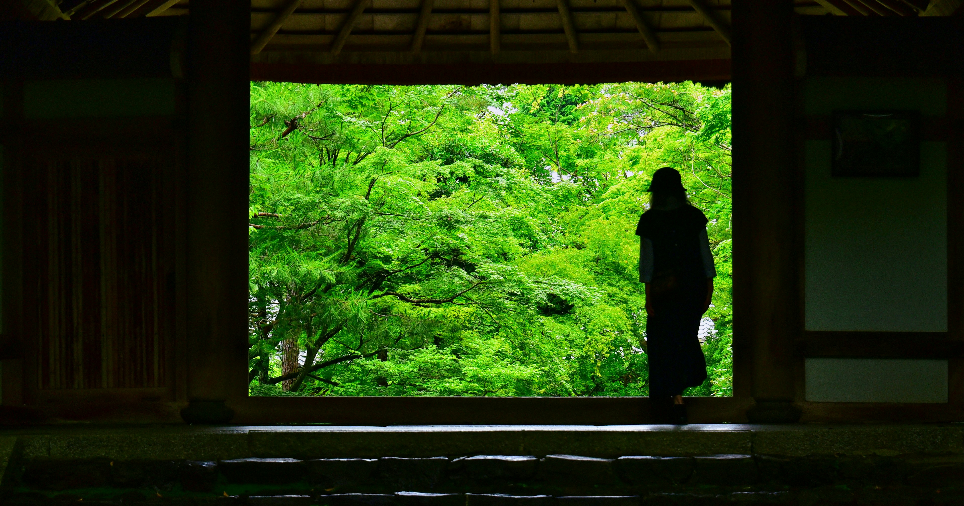 2025-01-frame-in-frame-photography-tips-cover-image