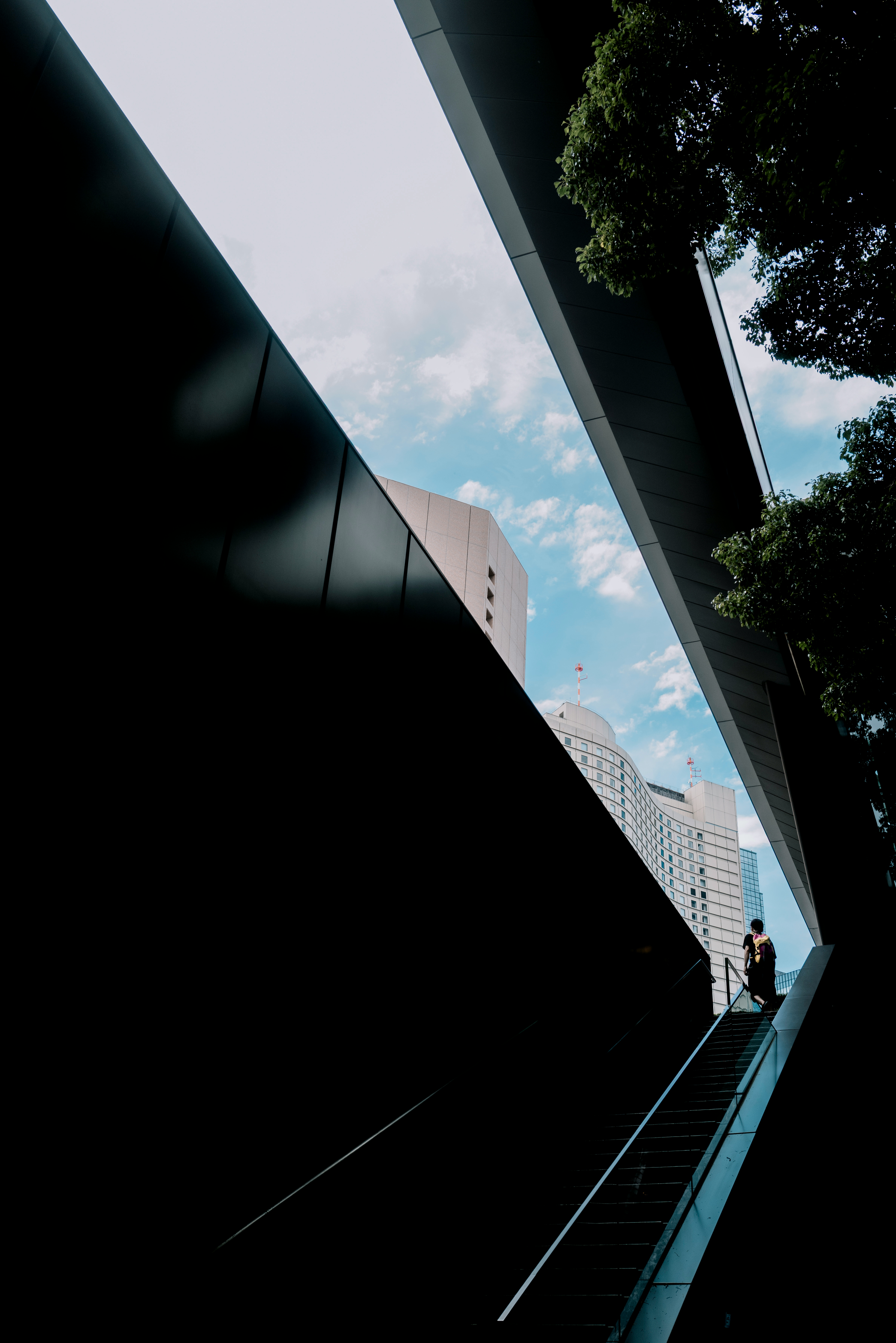 2025-12-shadows-of-light-image-4