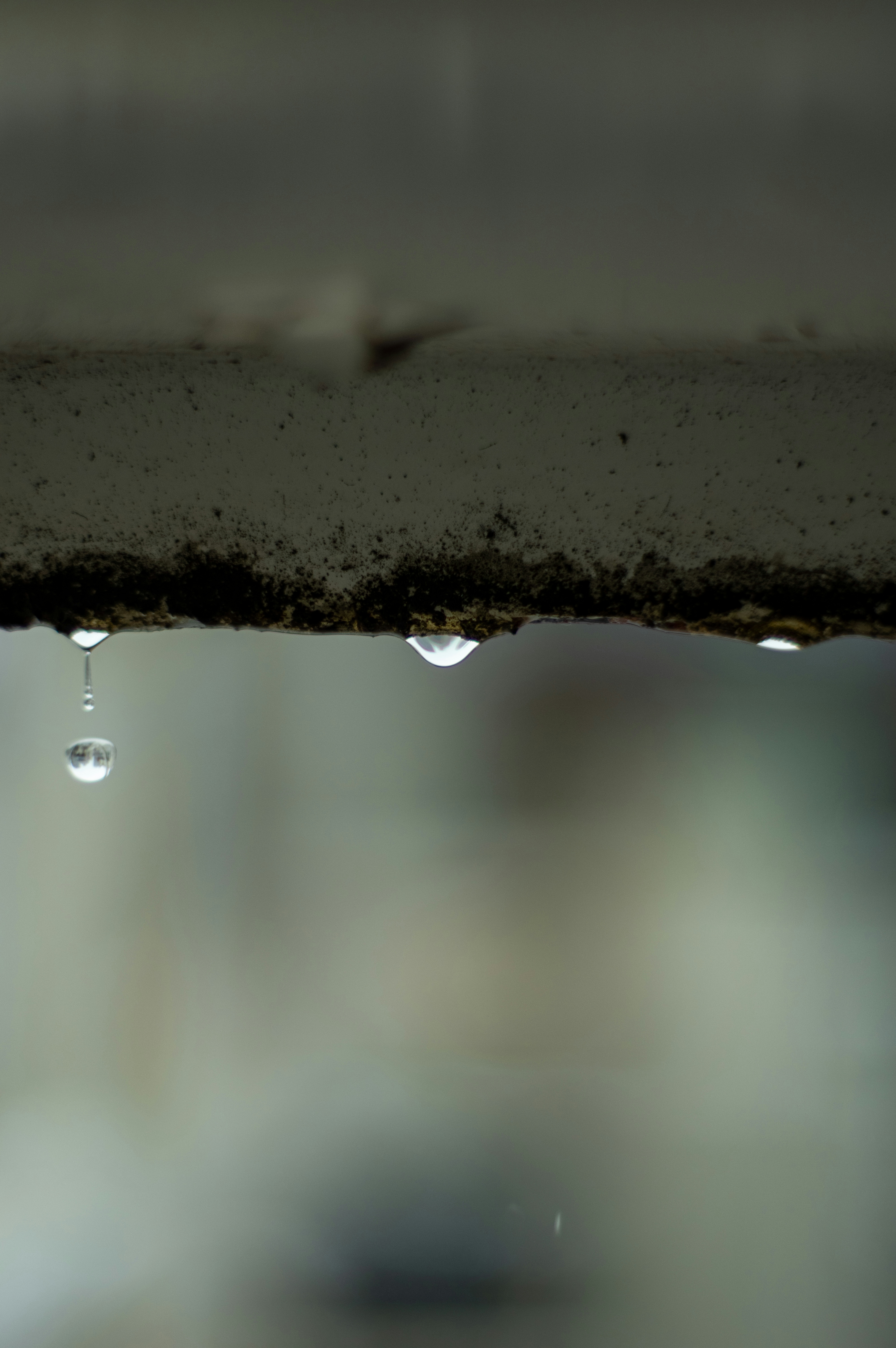 2026-06-rain-image-5