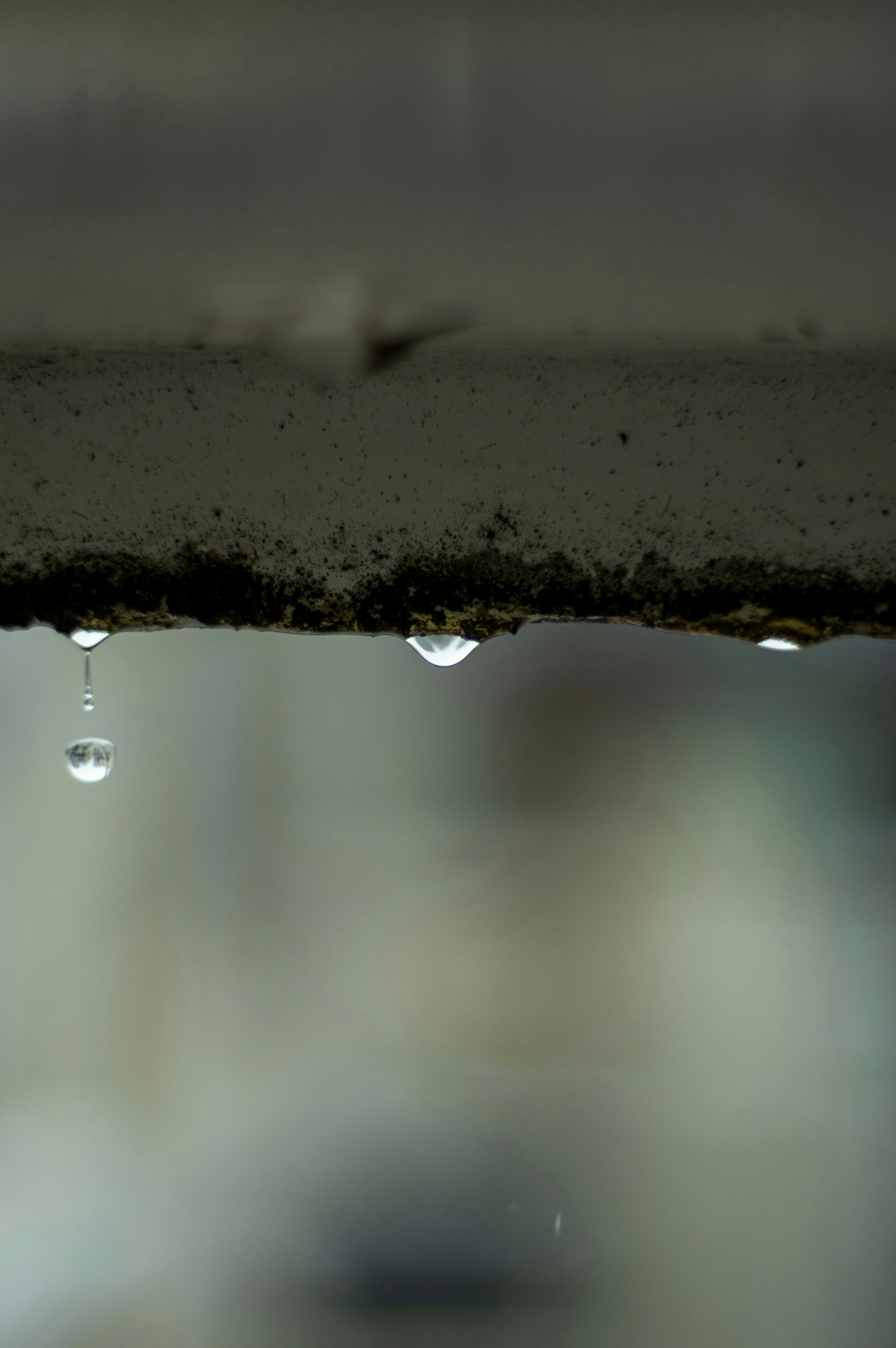 2026-06-rain-image-5