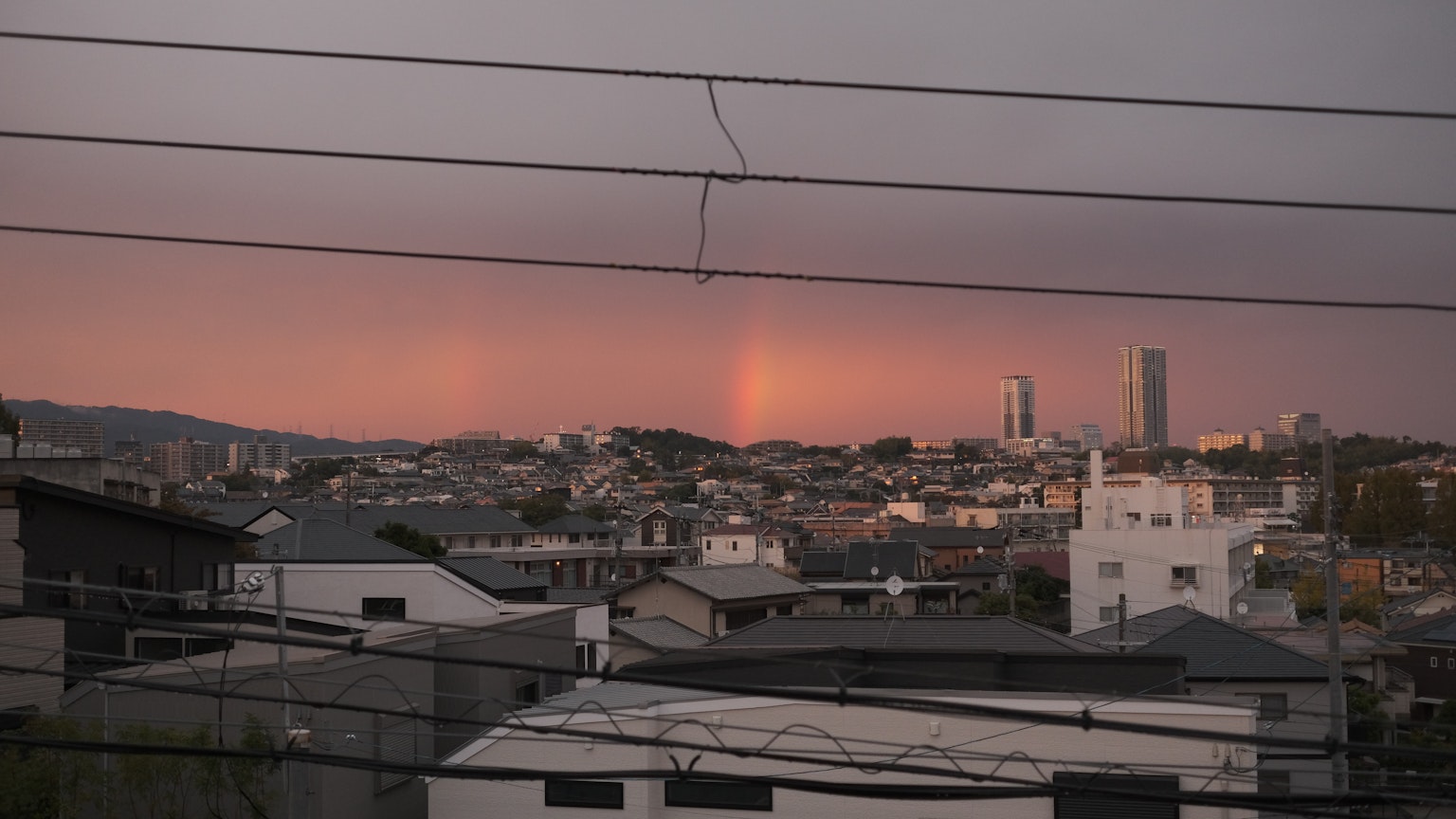 2024-06-digital-or-mirrorless-image-18