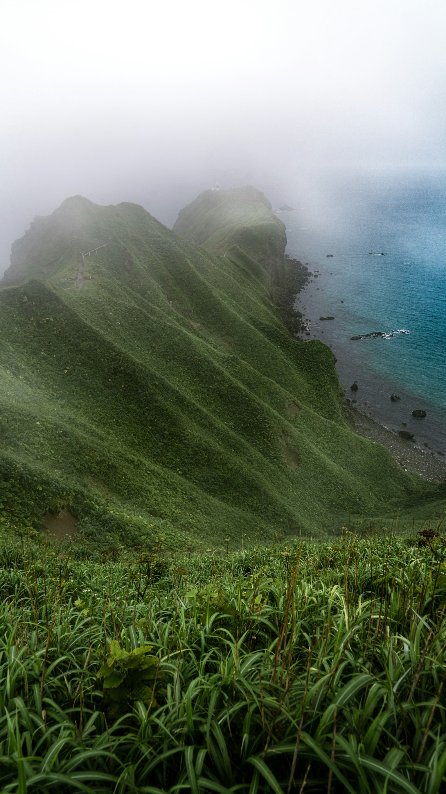 2024-06-early-summerluck-image-12