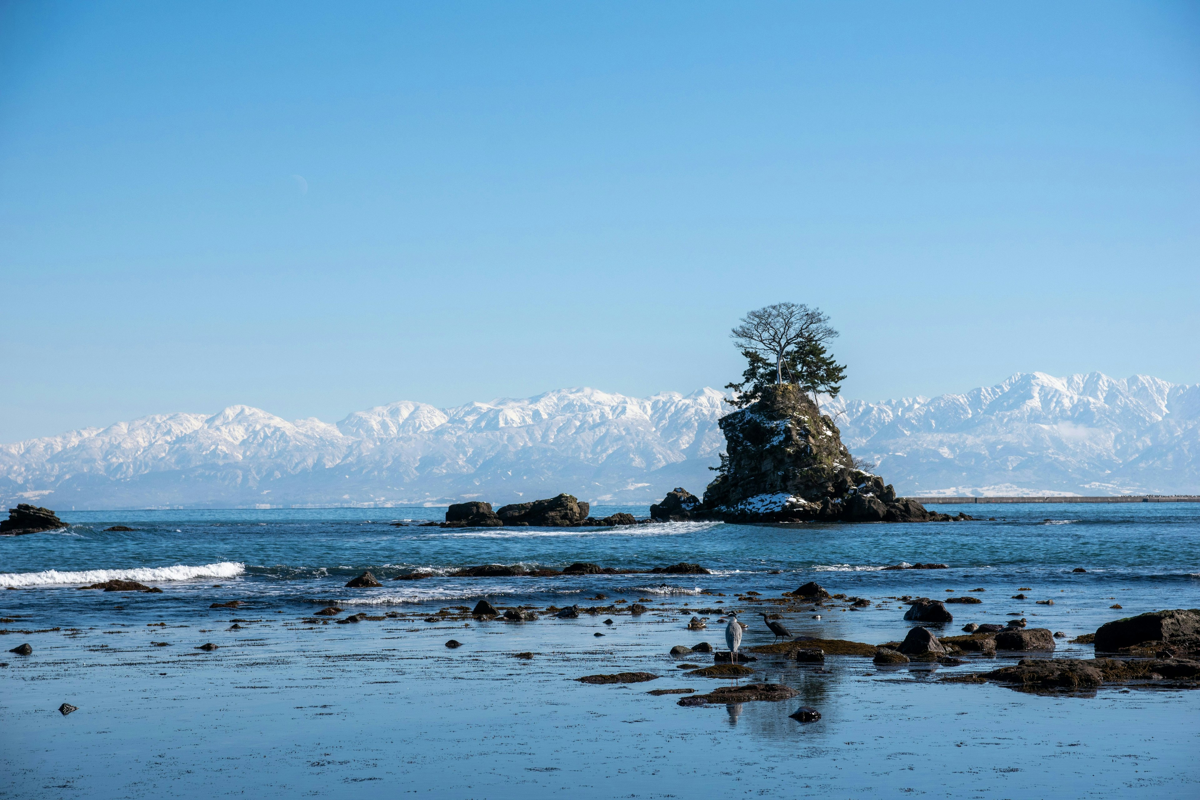 2025-06-photo-mountain-spots-image-12