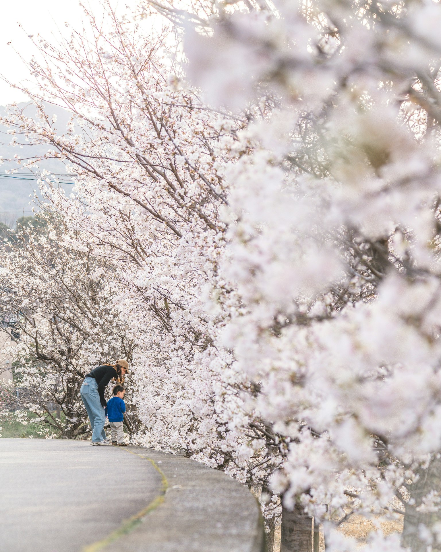 2025-04-pick-up-photos-no-84-88-image-7