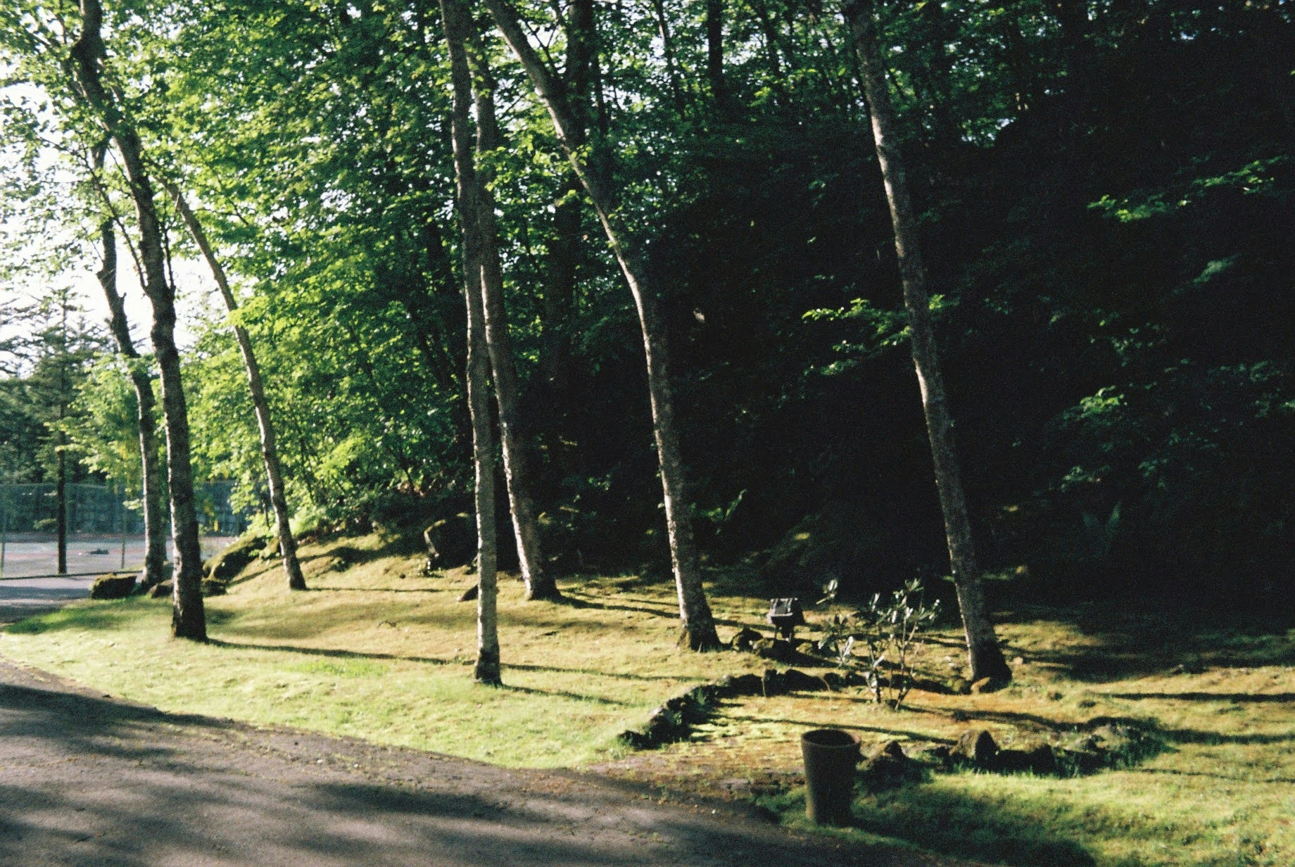 2026-08-rollei-35-long-lasting-companion-image-17