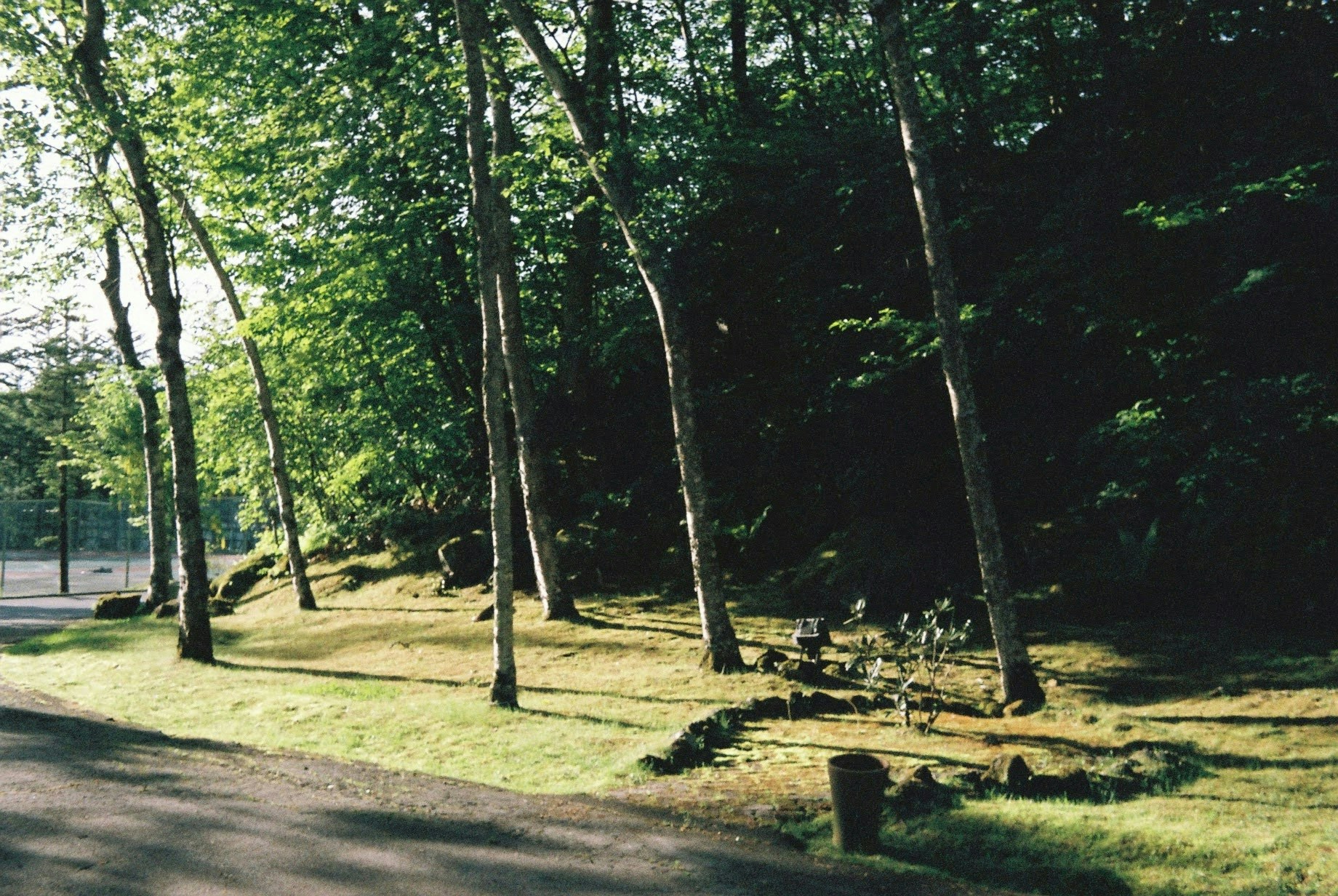 2026-08-rollei-35-long-lasting-companion-image-17