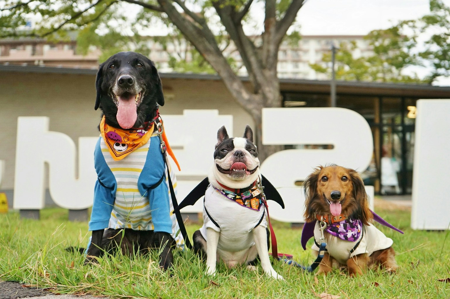 2025-12-parks-vibes-award-image-56