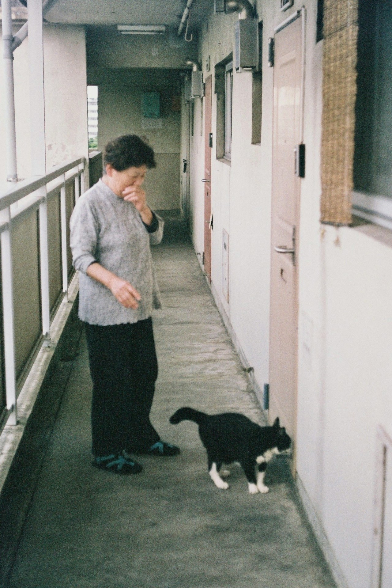 Image by usubafilm