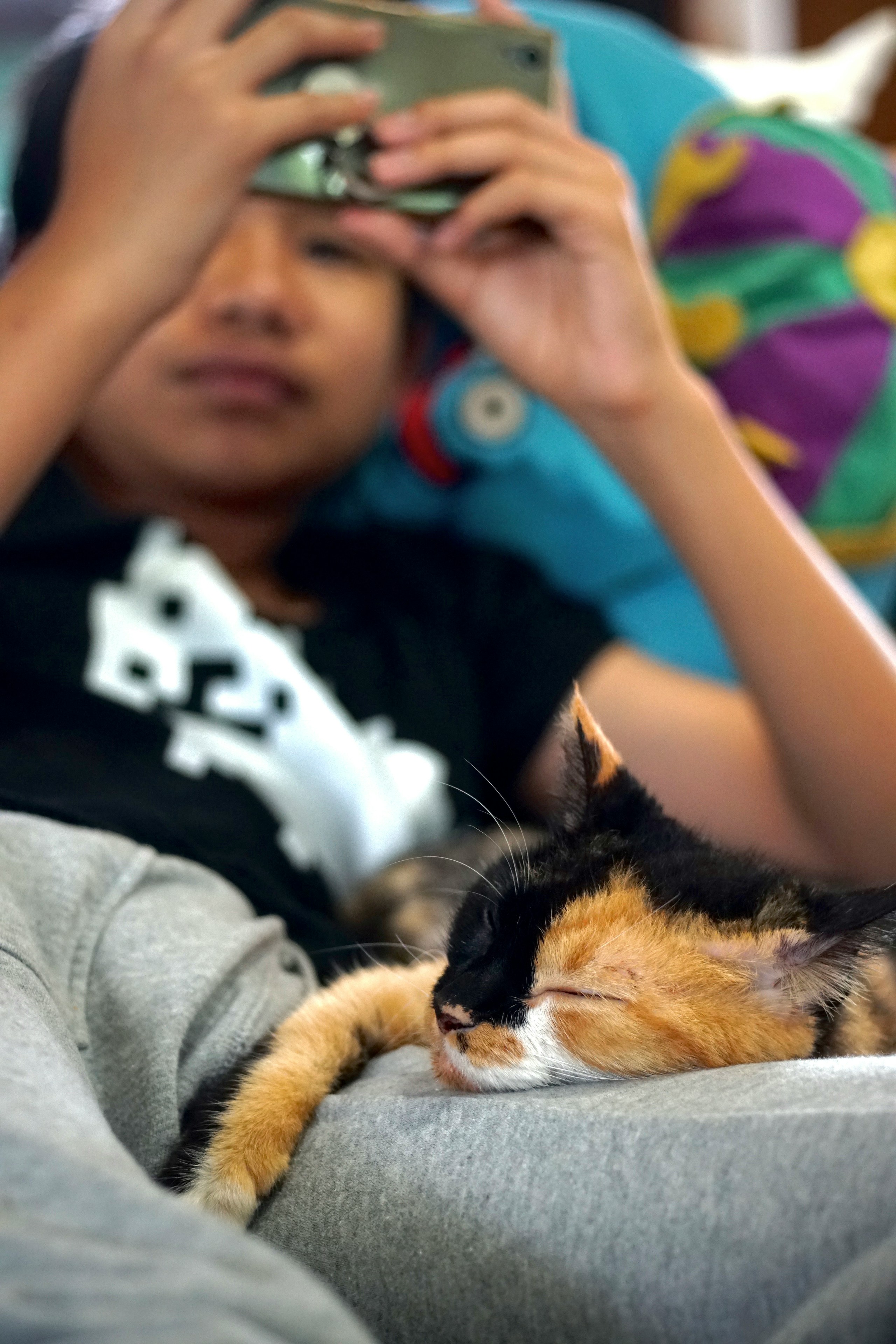 2024-04-cat-day-award-image-17