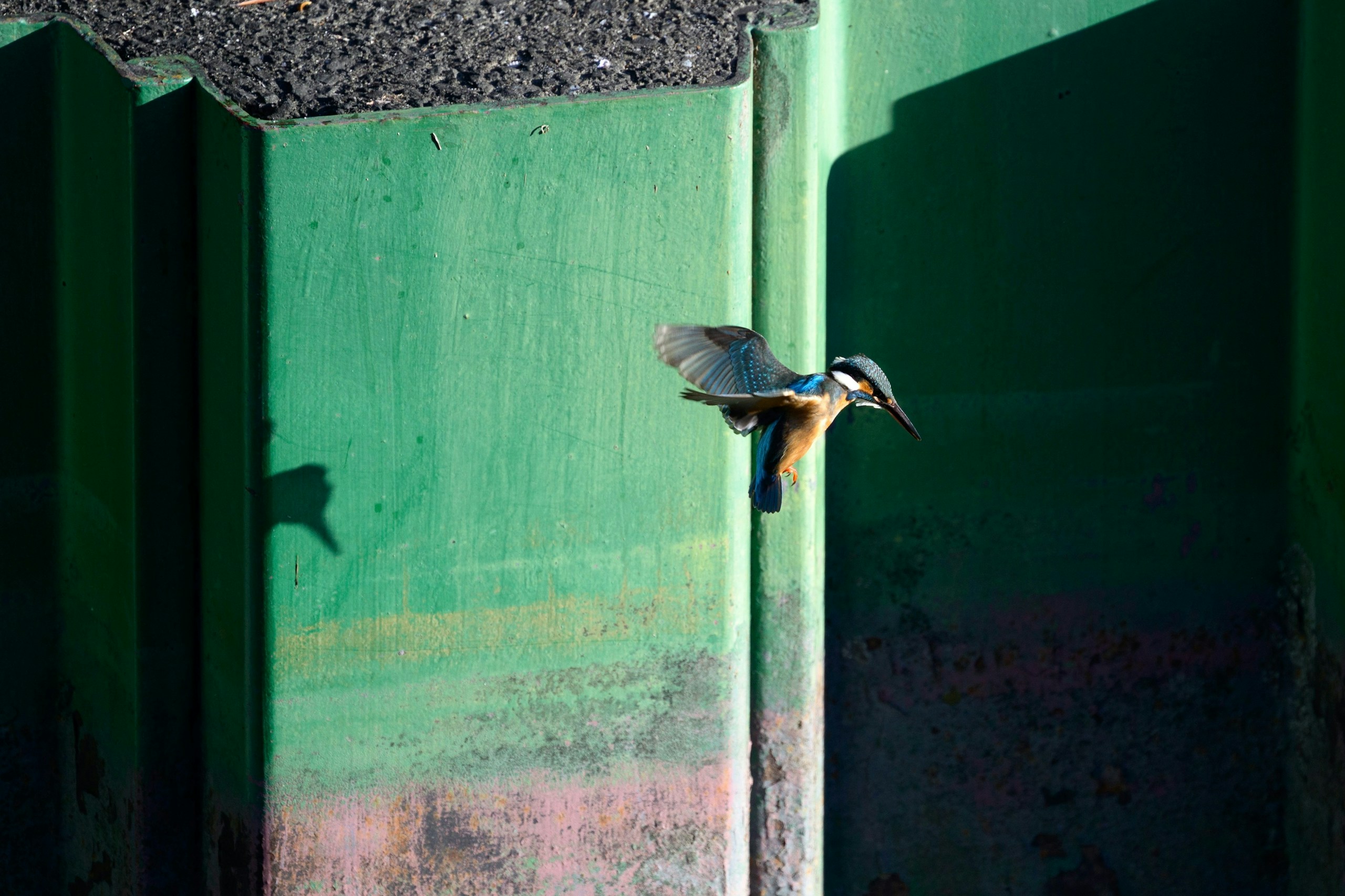 2026-02-rendering-and-operability-nikkor-z-100-400-image-9