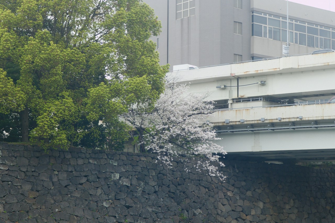Image by takerukohara