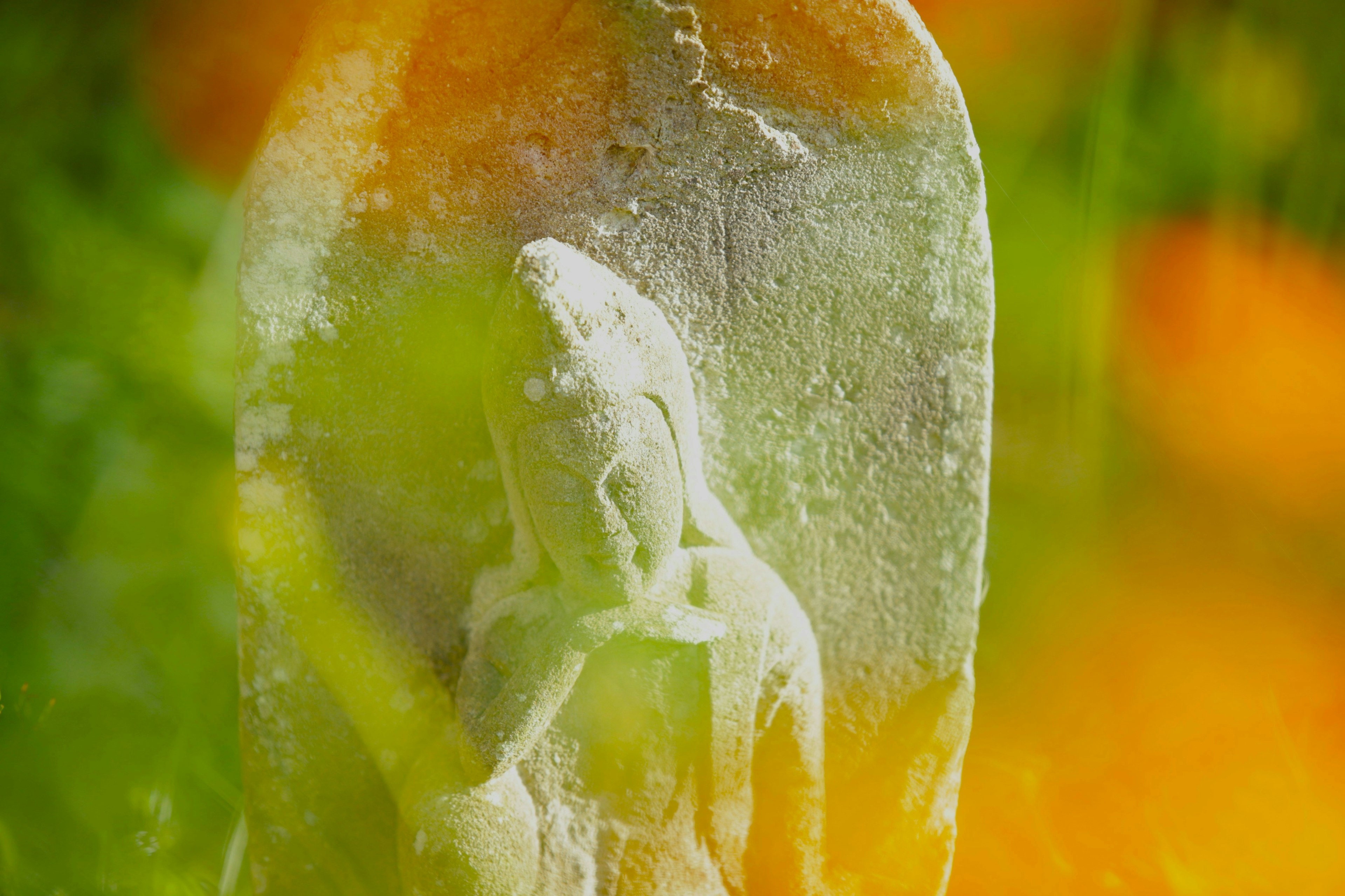 2025-05-bokeh-photography-tips-image-6
